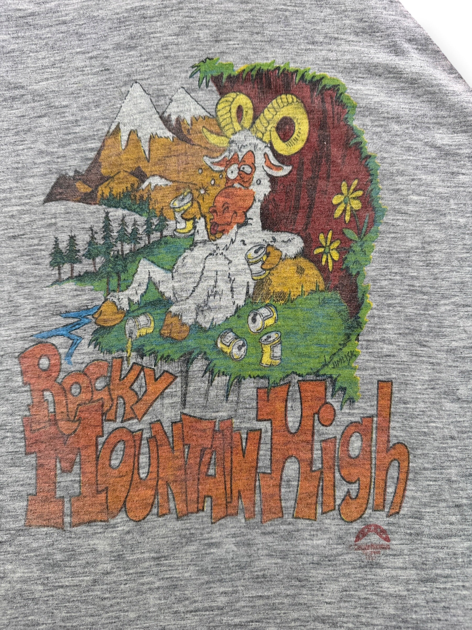 Graphic of Vintage 80s Rocky Mountain High Raglan Tee SZ XL (Fits M)