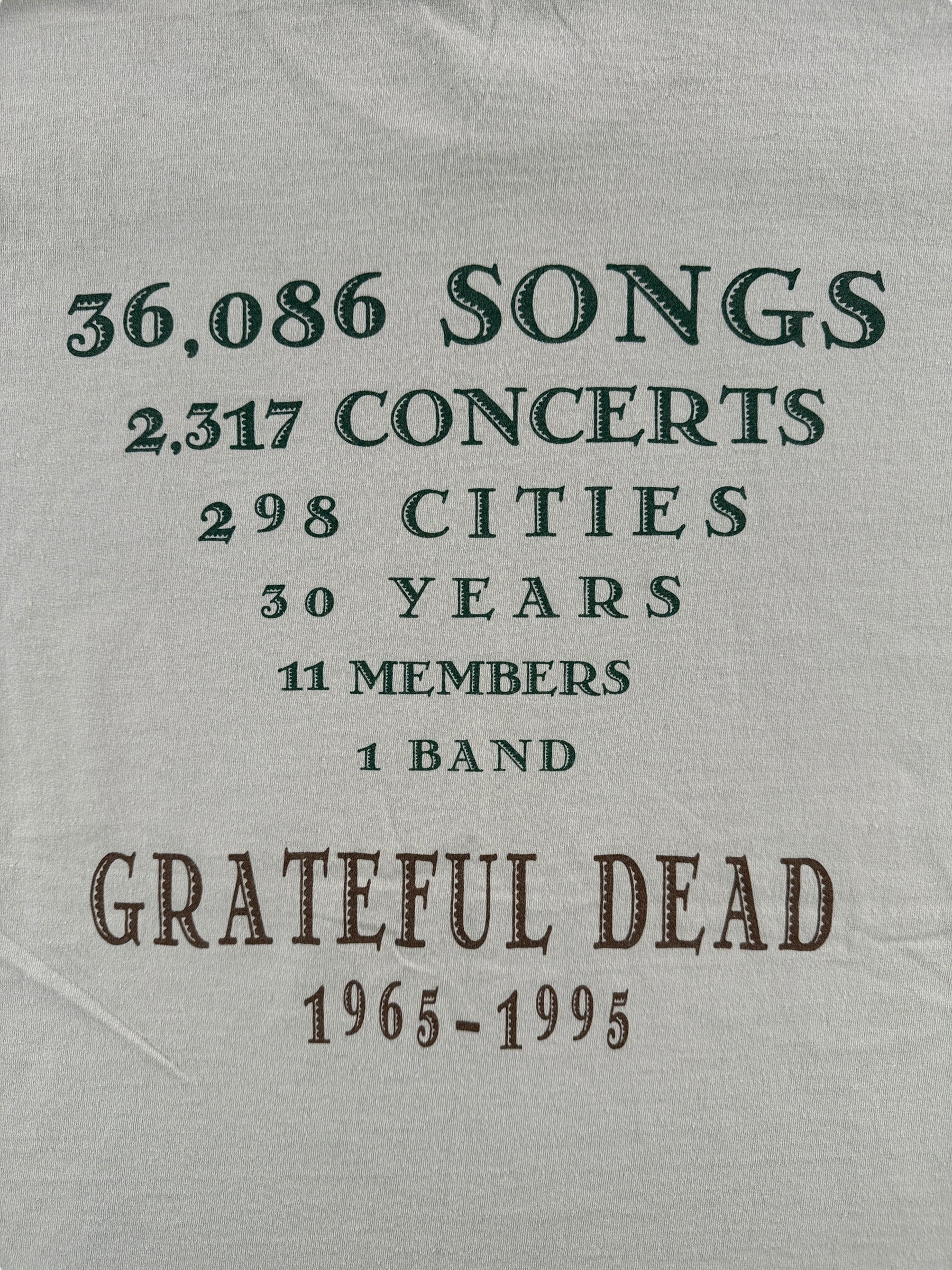Back Graphic of Vintage 1995 Grateful Dead Tee SZ XL