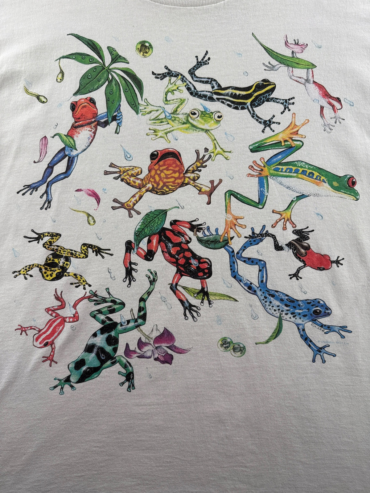Front graphic on Vintage Froggies Tee SZ L