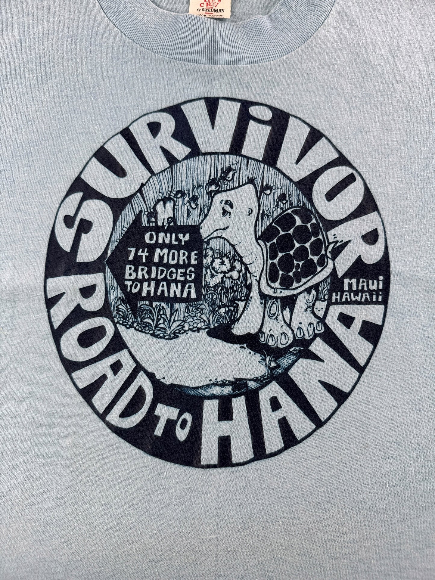 Graphic of Vintage 70s Hawaii Turtle Tee SZ S