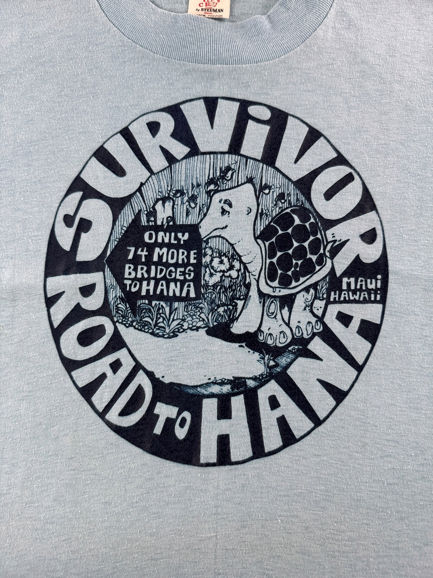 Graphic of Vintage 70s Hawaii Turtle Tee SZ S