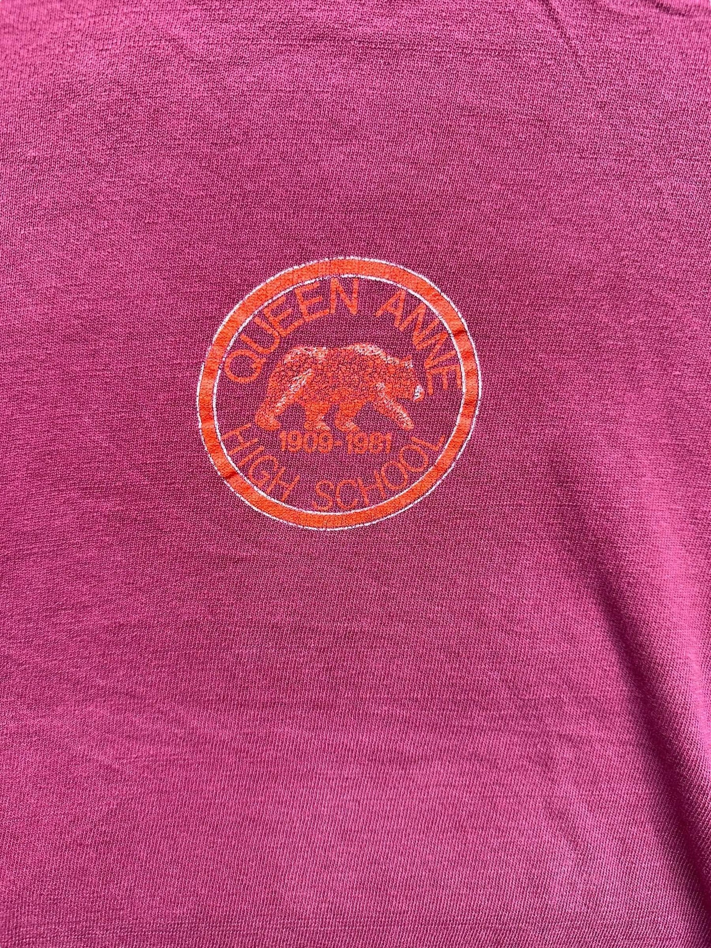 Close Up of Graphic on Vintage 1981 Queen Anne High Tee SZ L | Barn Owl Vintage Tees | Vintage Graphic Tees Seattle