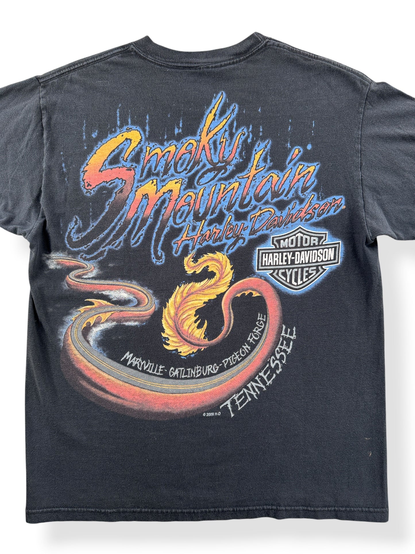 Close up of the back of 2009 AOP Dragon Harley Davidson Tee SZ M