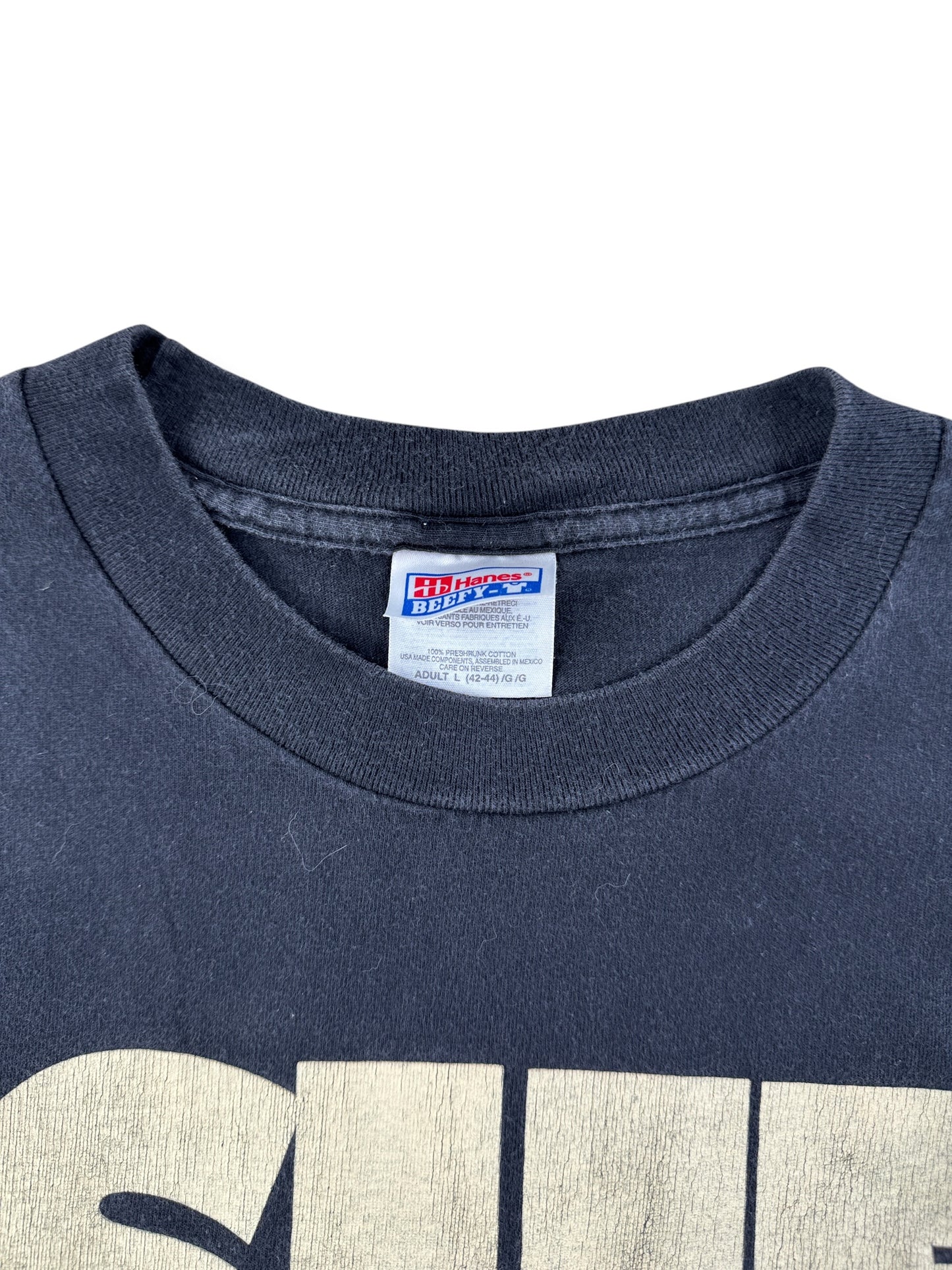 Collar on Vintage Sue T. Rex Field Museum Tee SZ L
