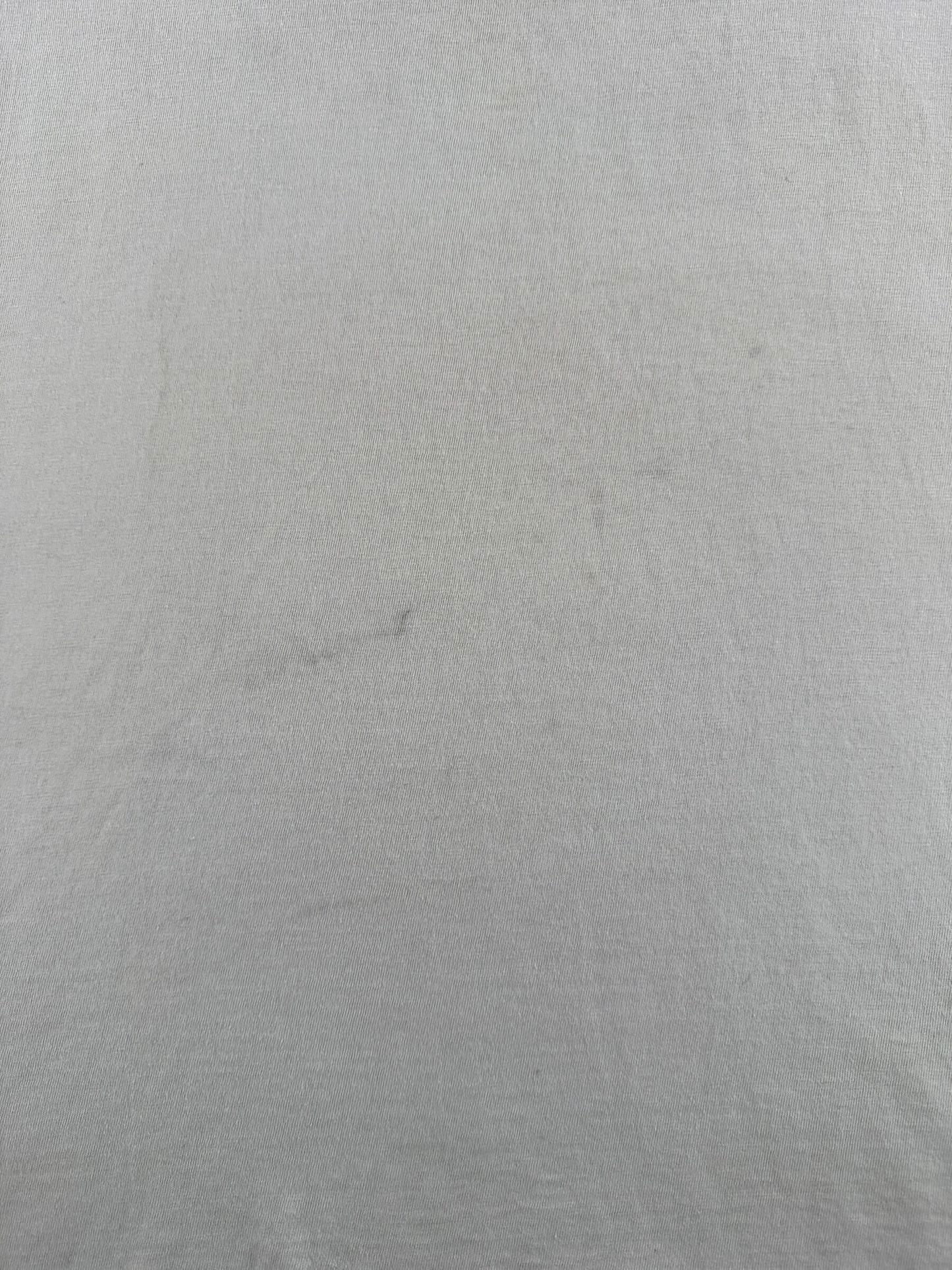 Wear on Vintage Comcast I Survived The '91 Meridian Fire Tee SZ L