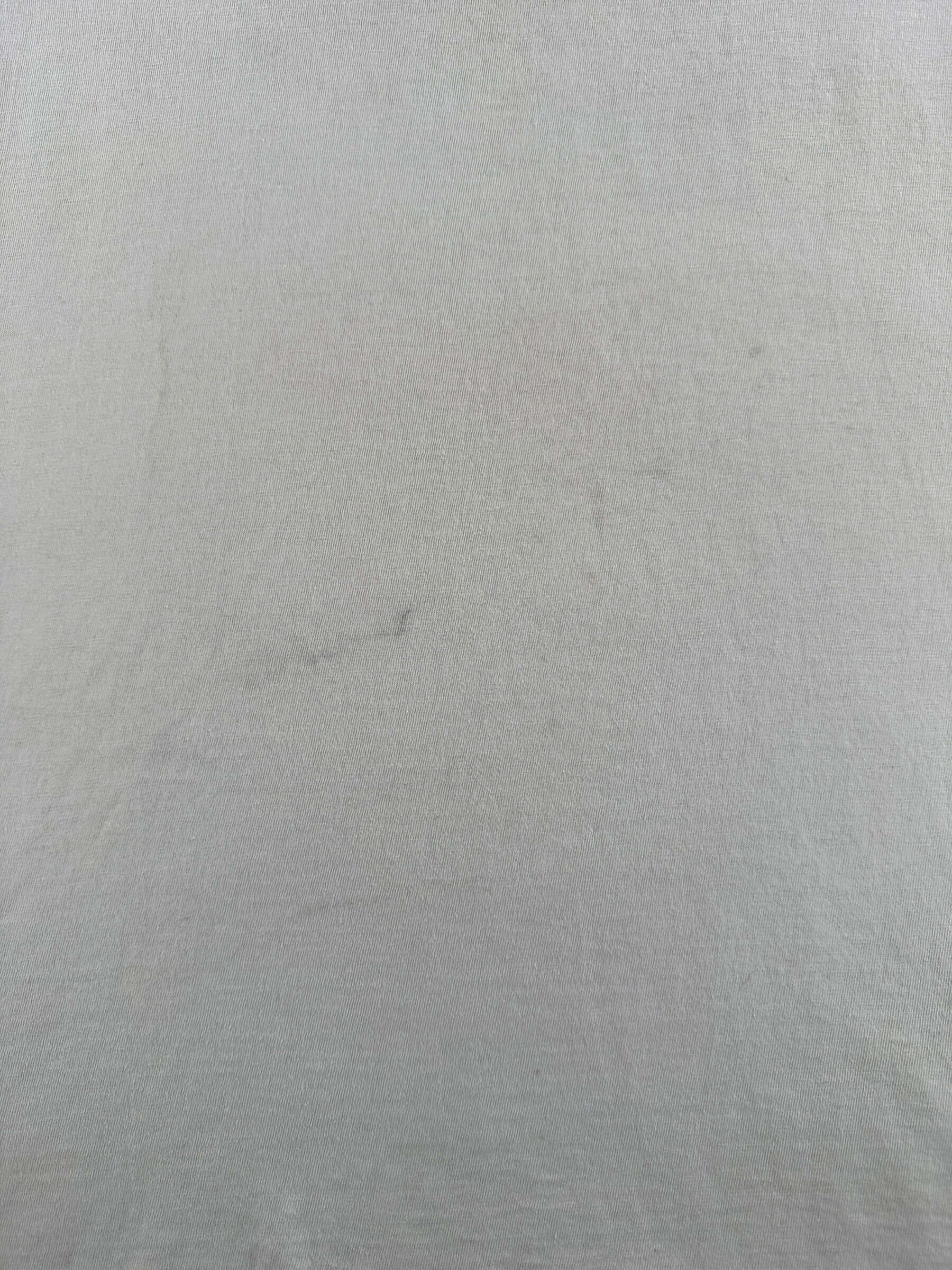 Wear on Vintage Comcast I Survived The '91 Meridian Fire Tee SZ L