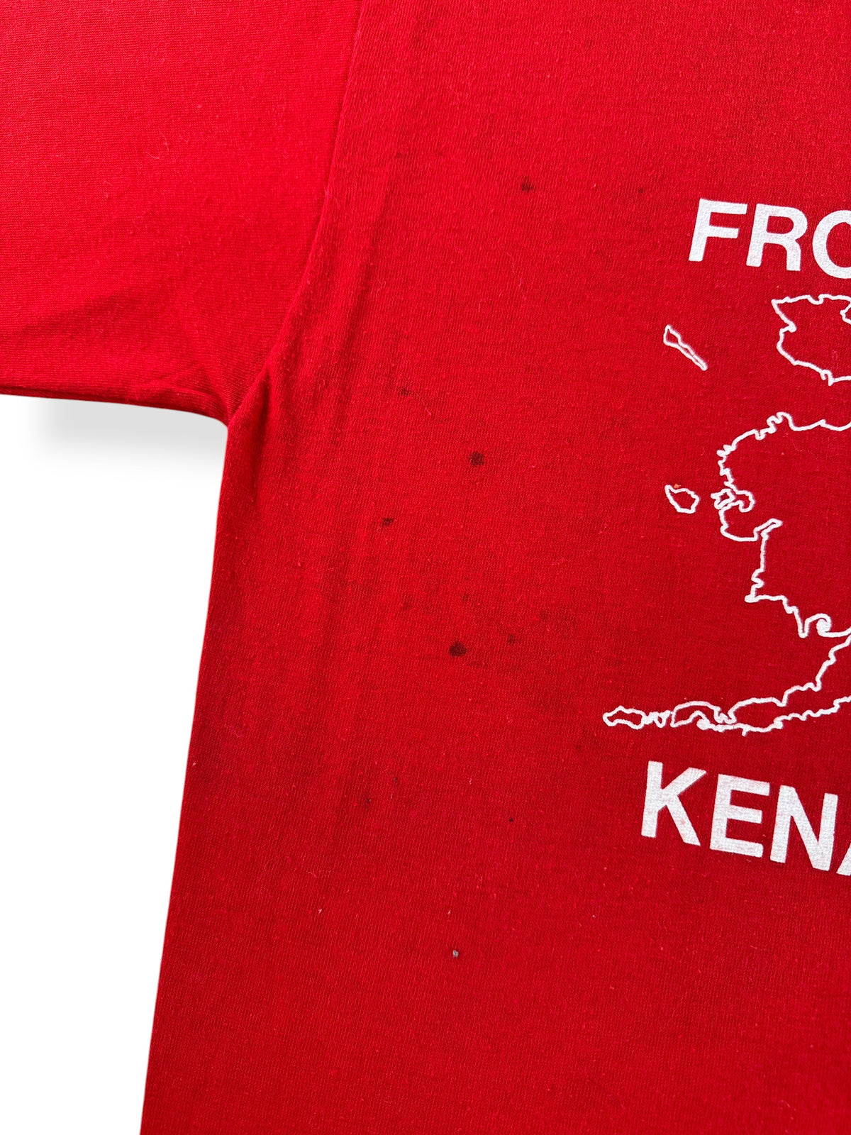 Stains on back of Vintage Alaska Brothel Tee SZ XL (Fits L)