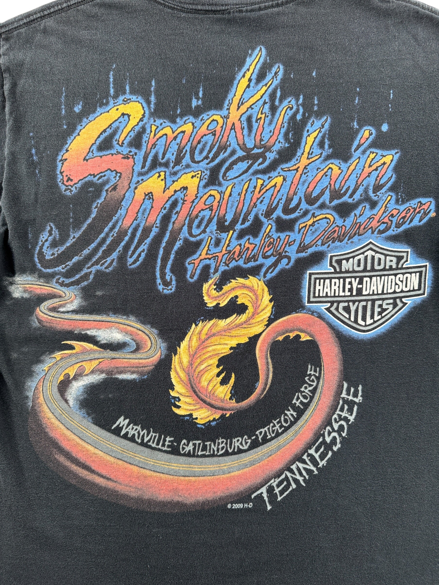 Back graphic on 2009 AOP Dragon Harley Davidson Tee SZ M