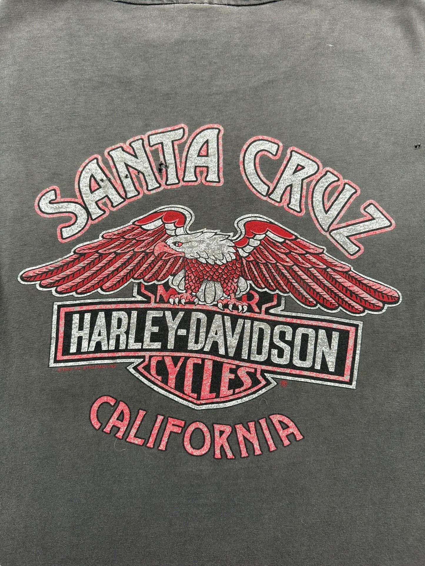 Back Graphic of Vintage Santa Cruz Harley Davidson Panhead Tee SZ L