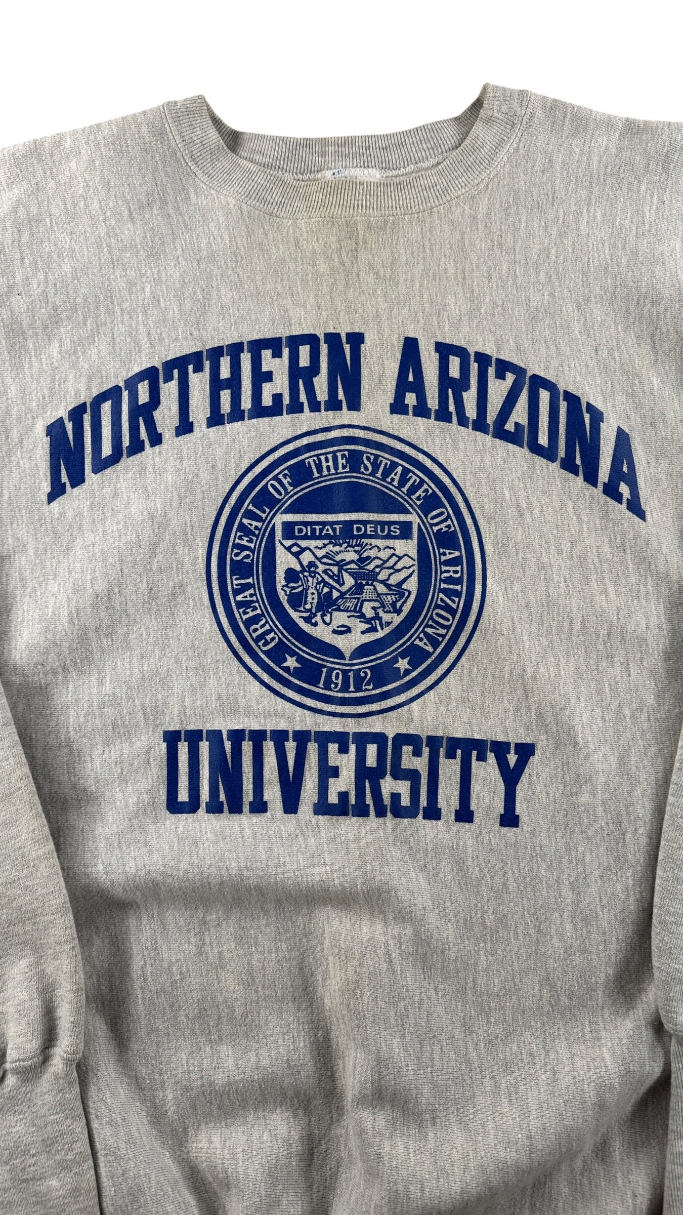 Front graphic on Vintage Northern Arizona Champion Reverse Weave Crewneck SZ XXL (Fits XL)