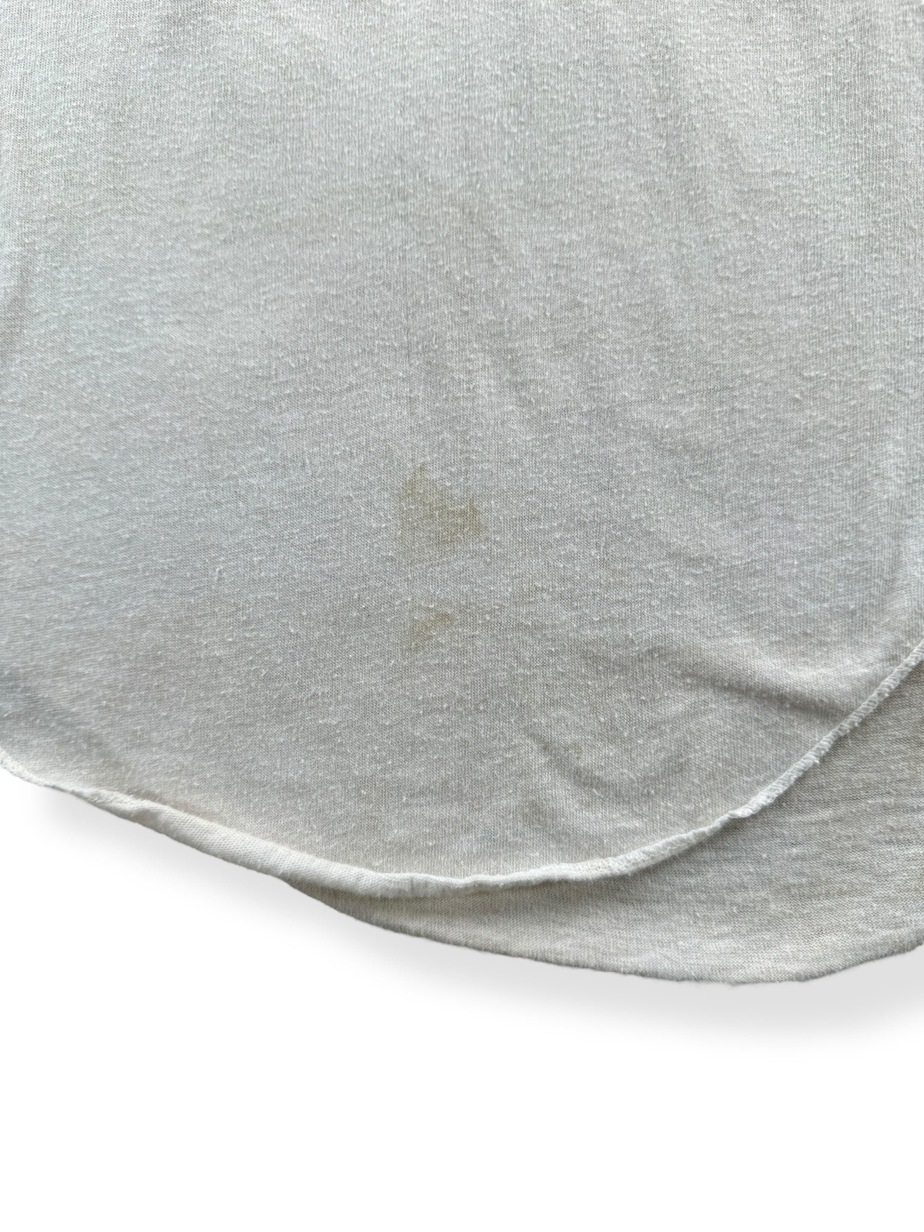 Stain on Vintage 1979 Santana Raglan Tee SZ M
