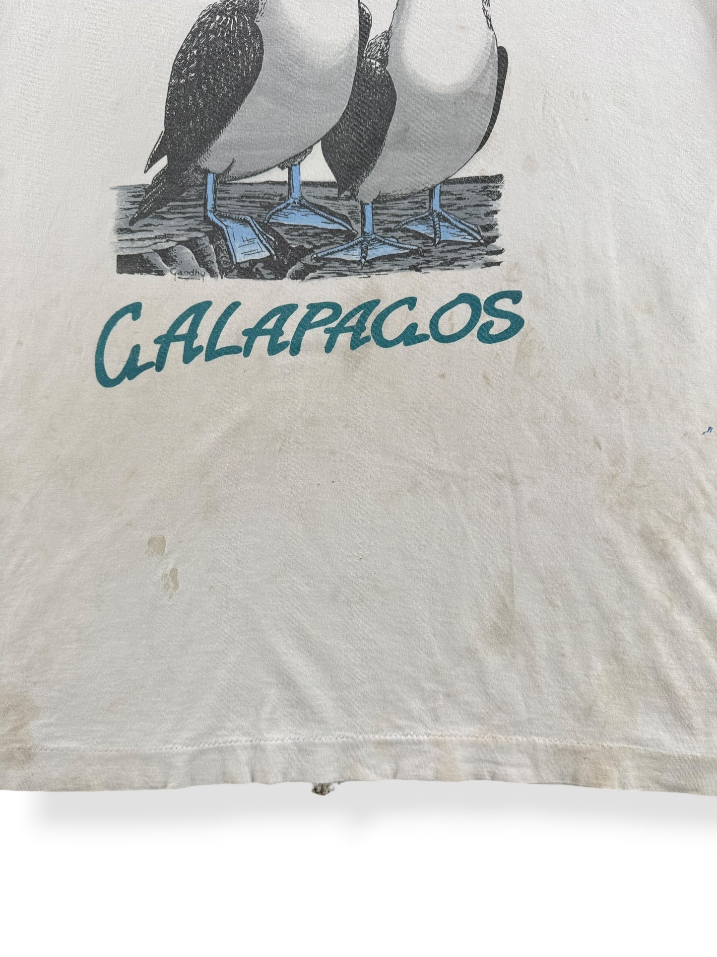 Staining on Vintage Galapagos Bird Tee SZ L
