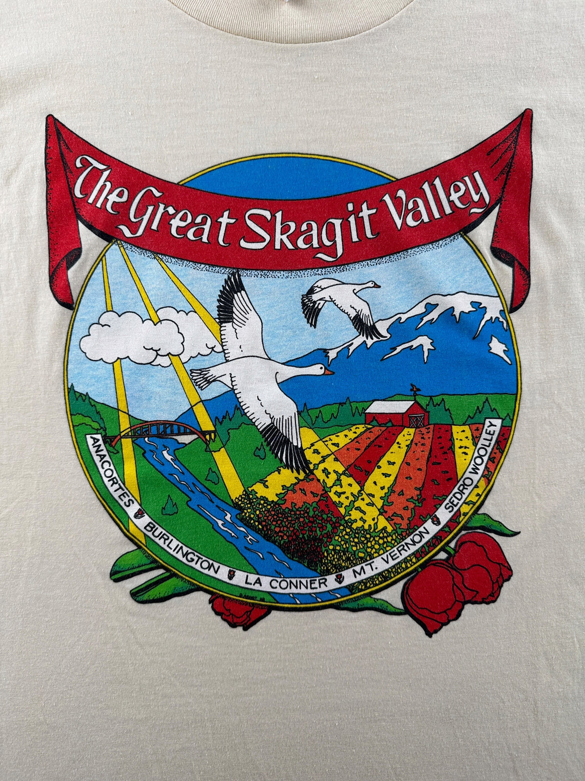 Front graphic on Vintage Skagit Valley Tee SZ M (Fits S)