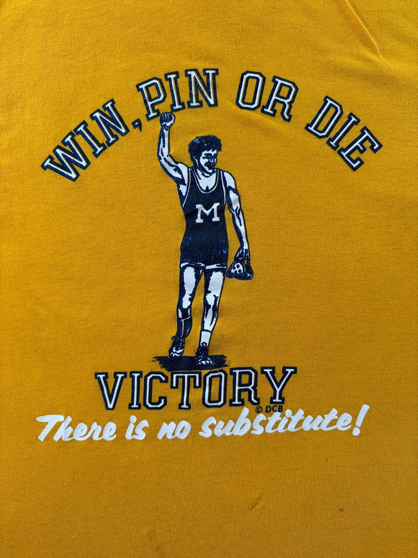 Graphic on Vintage Win Pin or Die Wrestling Tee SZ L (Fits S)