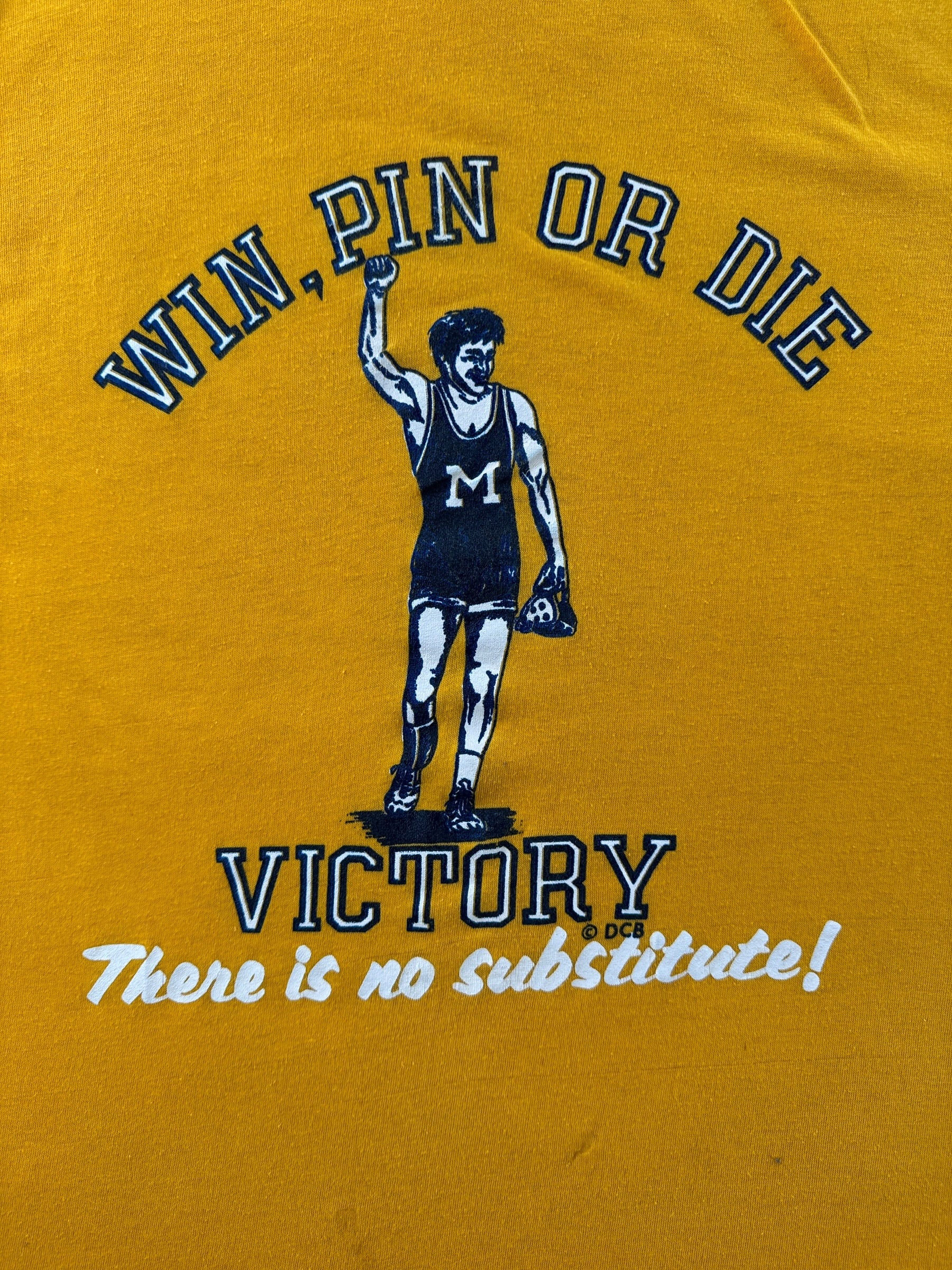 Graphic on Vintage Win Pin or Die Wrestling Tee SZ L (Fits S)