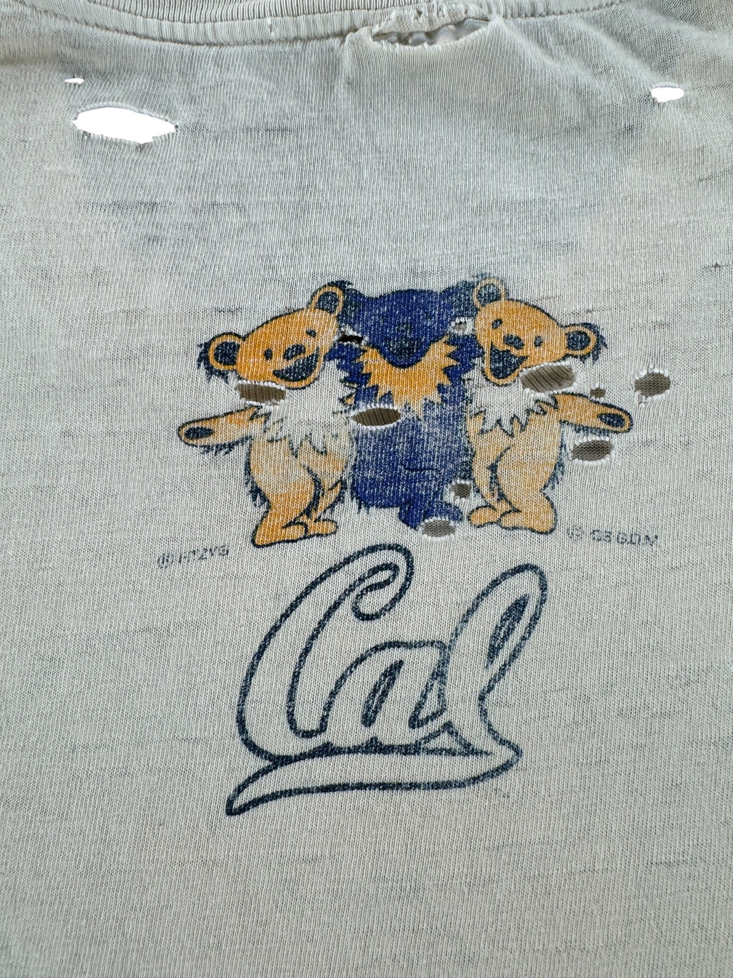 Back Graphic of Vintage Distressed Cal Berkeley Grateful Dead Tee SZ L