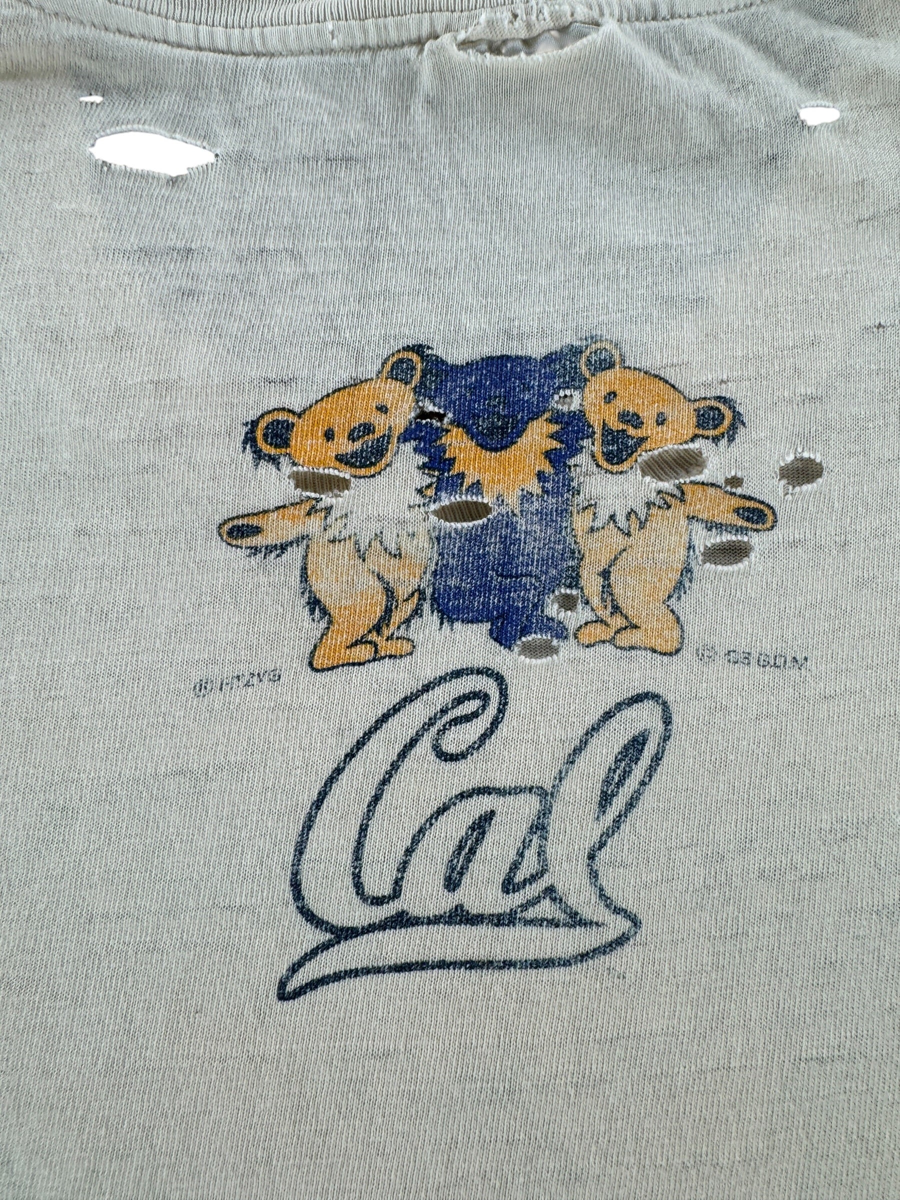 Back Graphic of Vintage Distressed Cal Berkeley Grateful Dead Tee SZ L