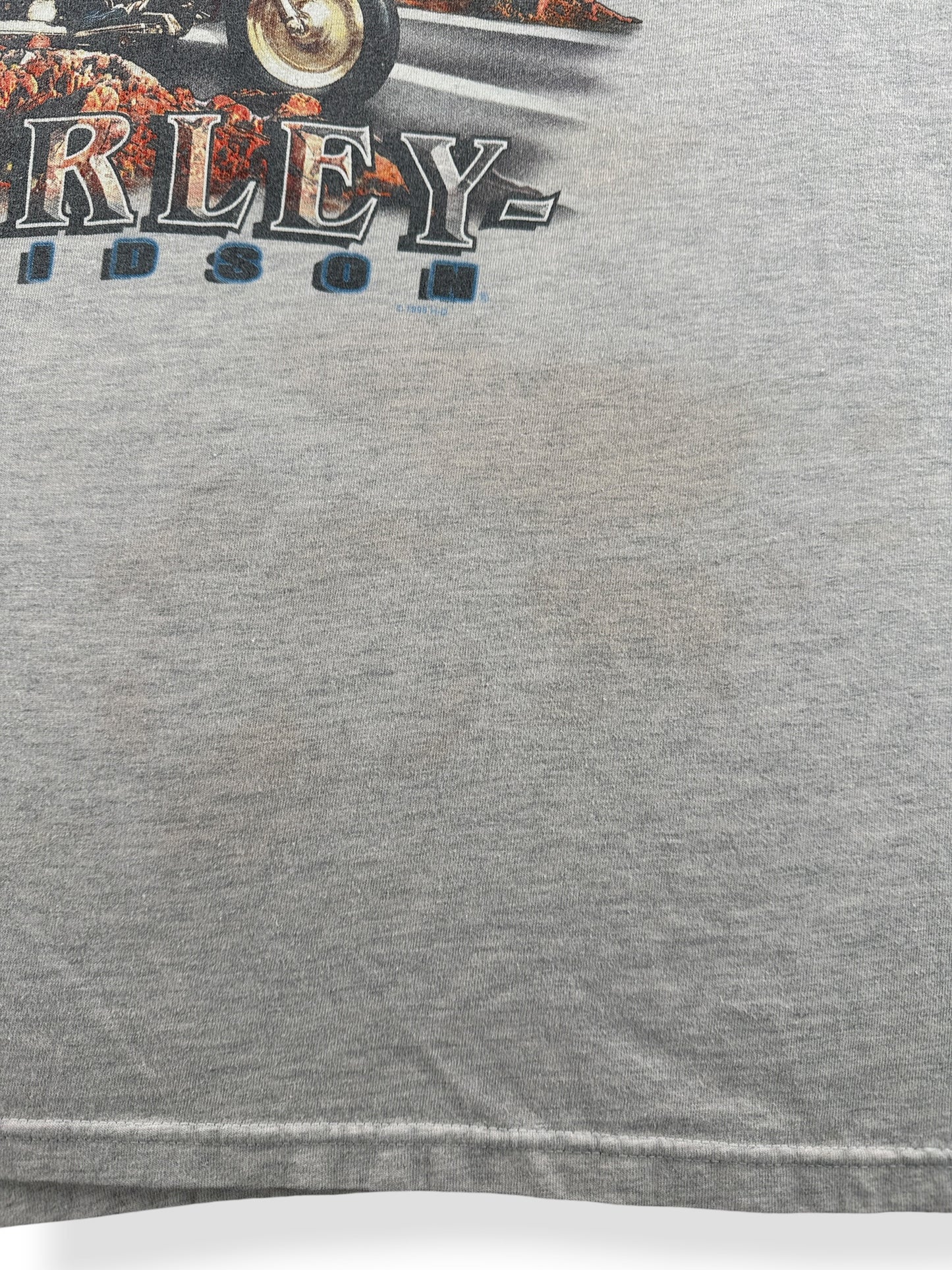 Staining on Vintage Downtown Seattle Harley Davidson Tee SZ XL