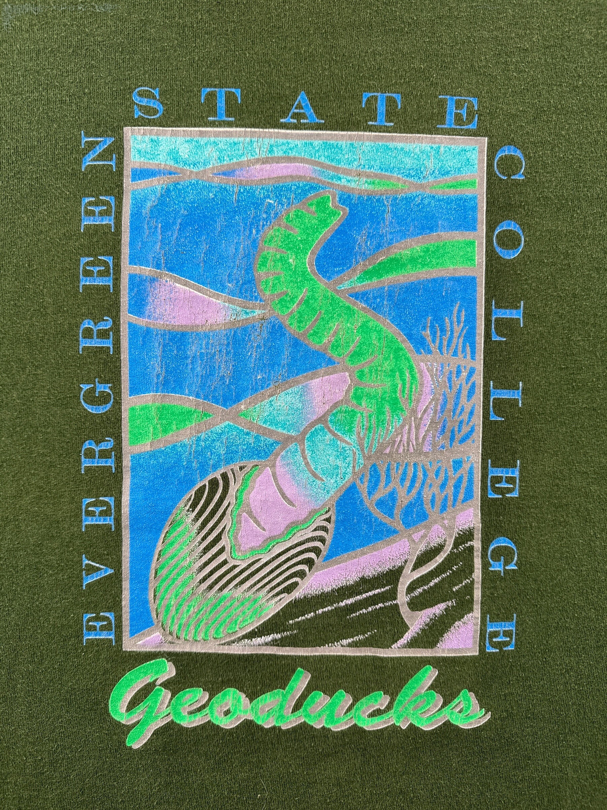 Graphic Vintage Evergreen State College Geoducks Tee SZ M