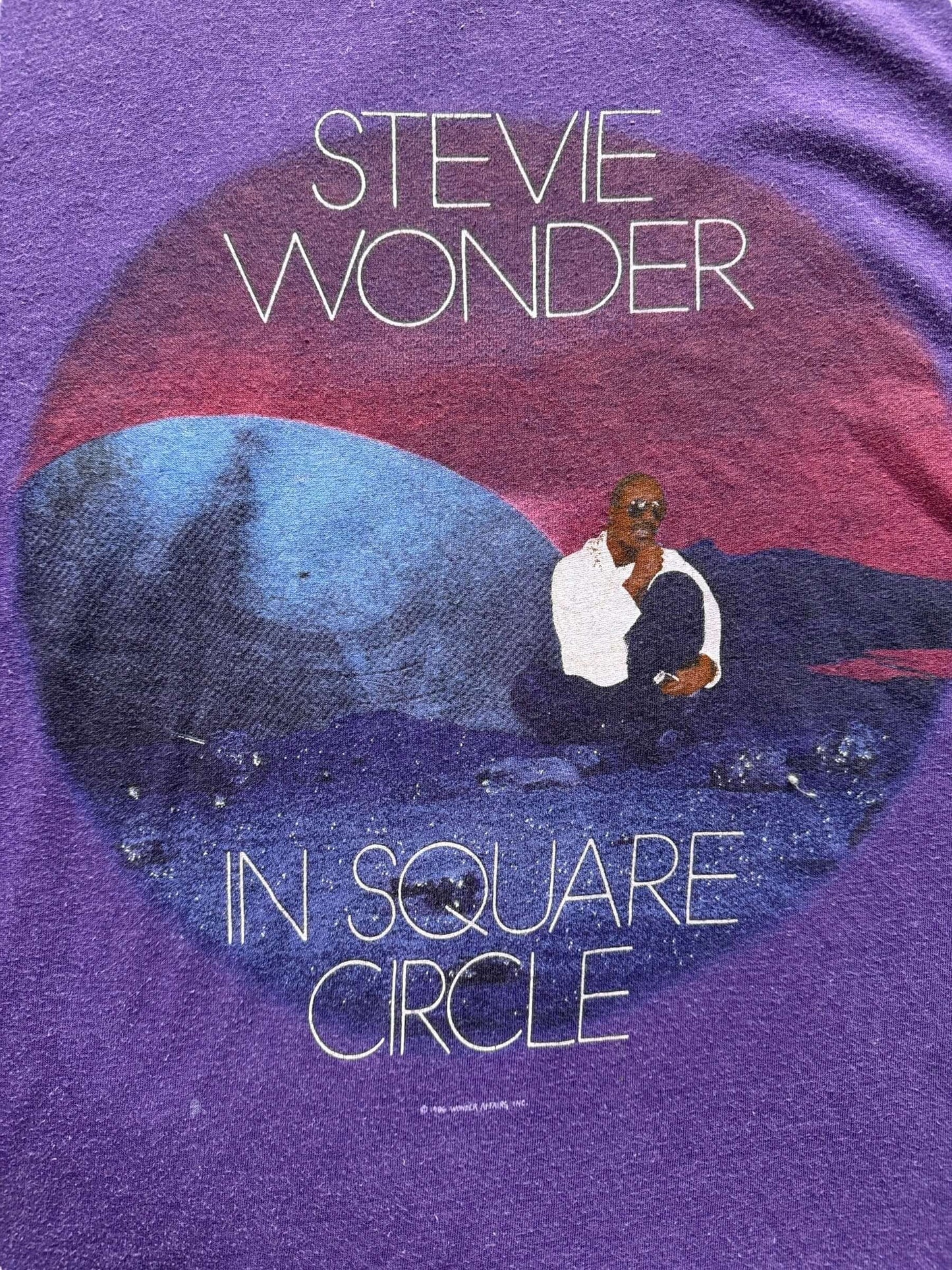 Front Graphic Detail on Vintage Stevie Wonder In Square Circle Tee XL