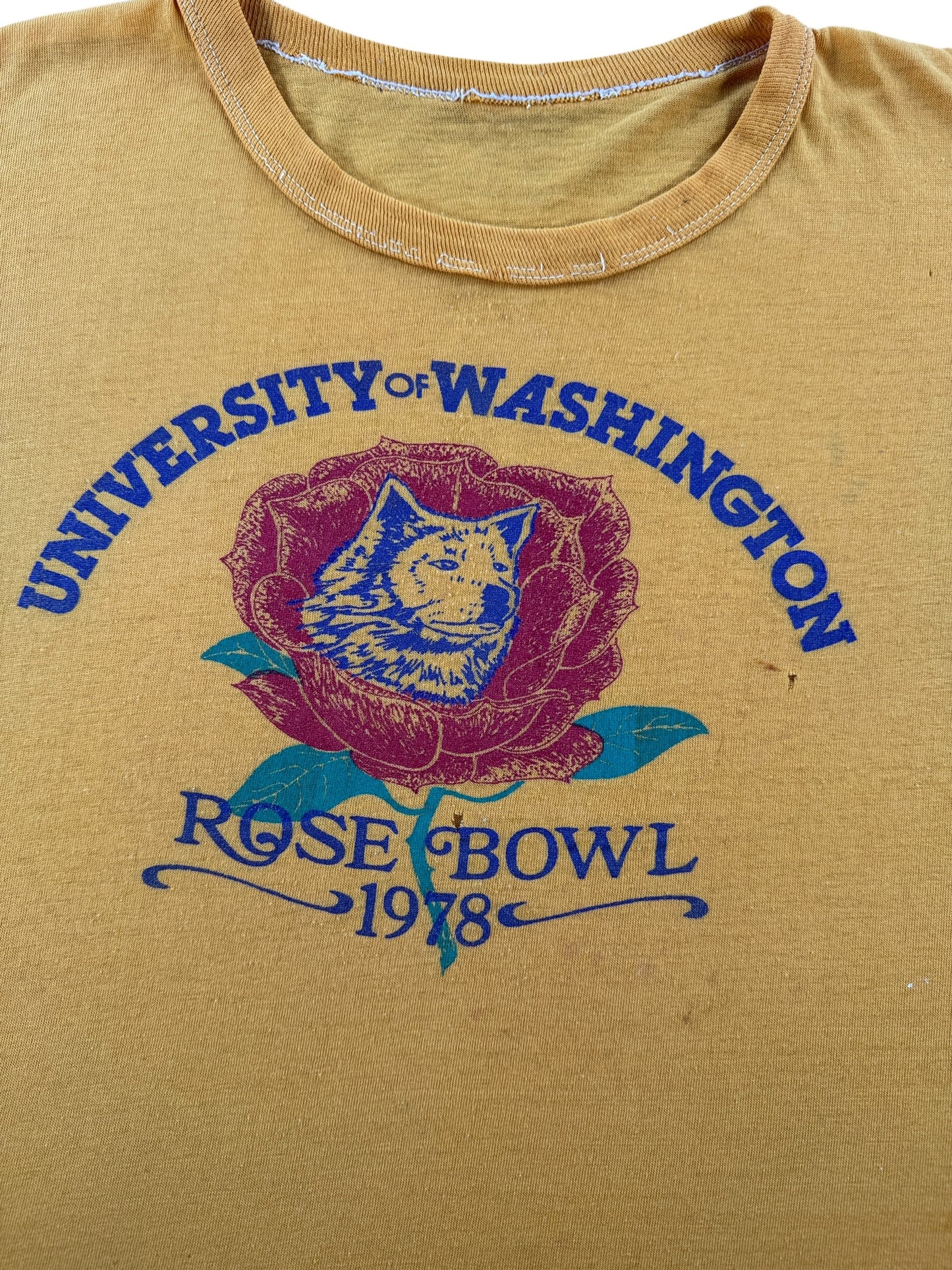 Graphic of Vintage Thrashed UW Rose Bowl 1978 Tee SZ L