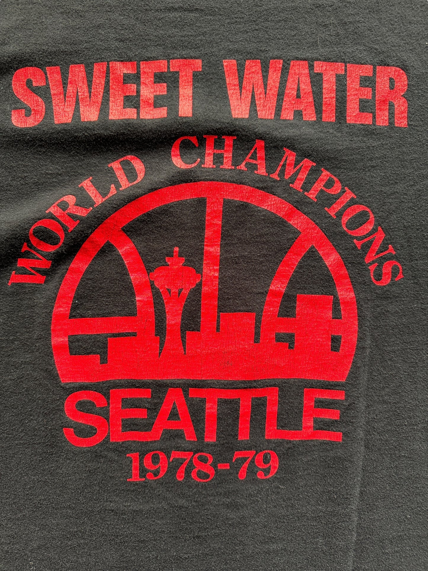 back close up of Vintage 90s Sweetwater Seattle Grunge Band Tee SZ L