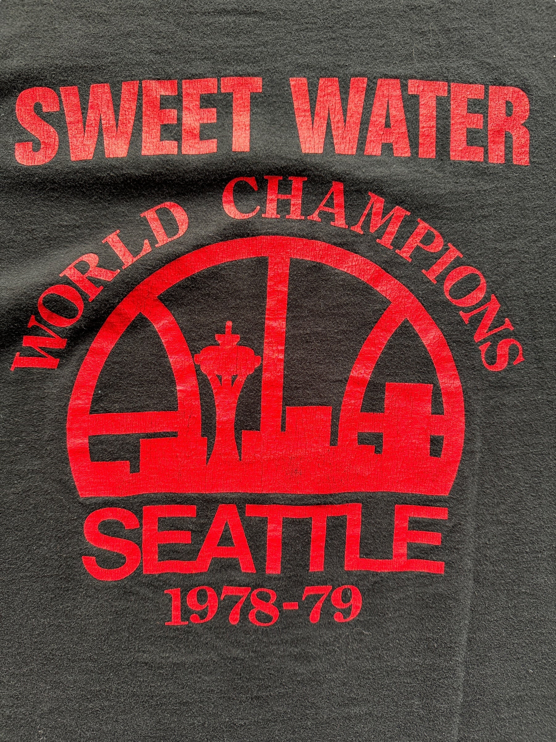 back close up of Vintage 90s Sweetwater Seattle Grunge Band Tee SZ L