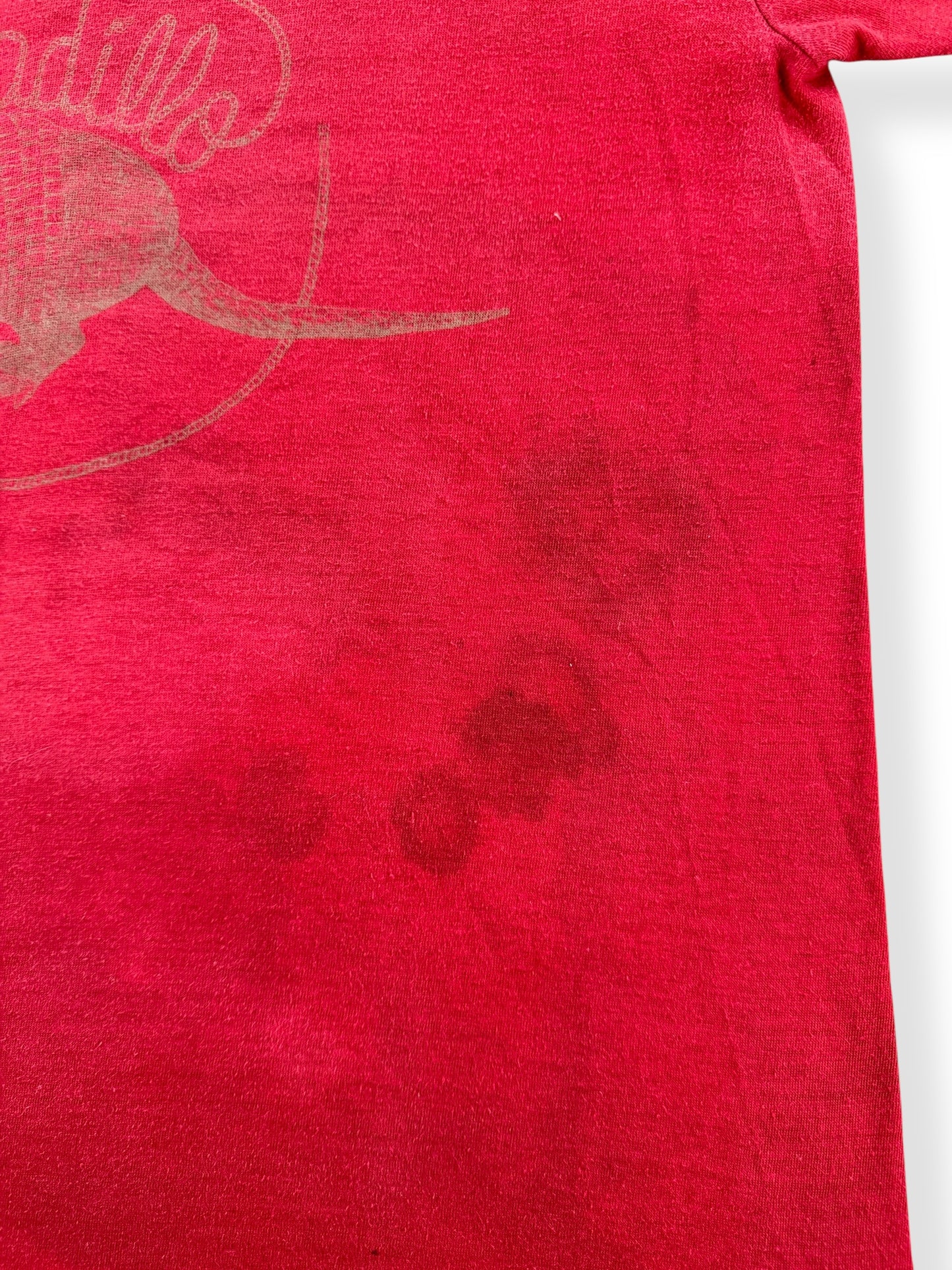 Stain on Vintage 70s Faded Armadillo Tee SZ S
