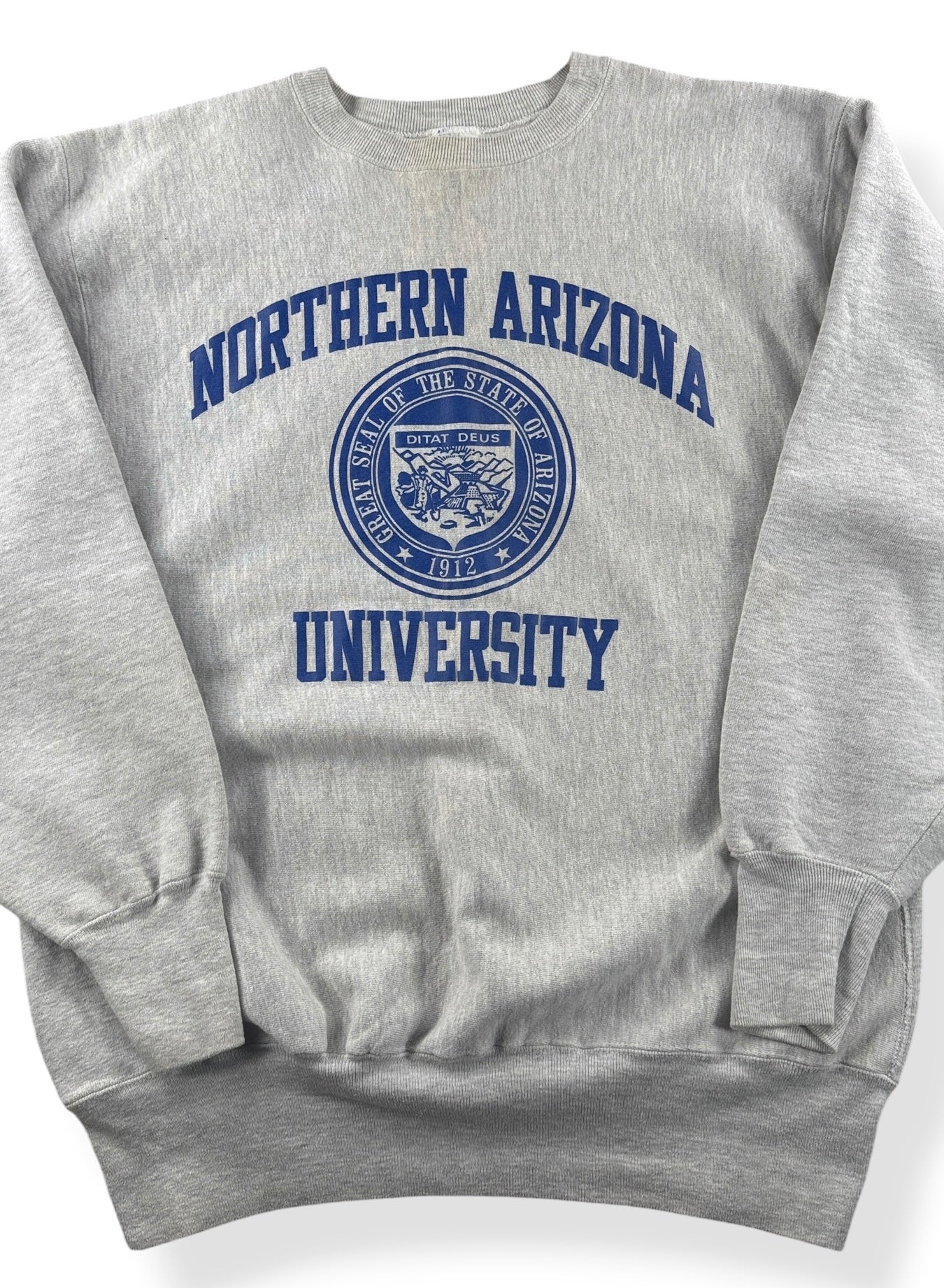 Close-up of Vintage Northern Arizona Champion Reverse Weave Crewneck SZ XXL (Fits XL)