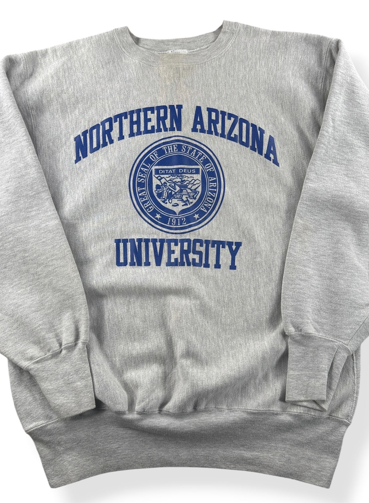 Close-up of Vintage Northern Arizona Champion Reverse Weave Crewneck SZ XXL (Fits XL)