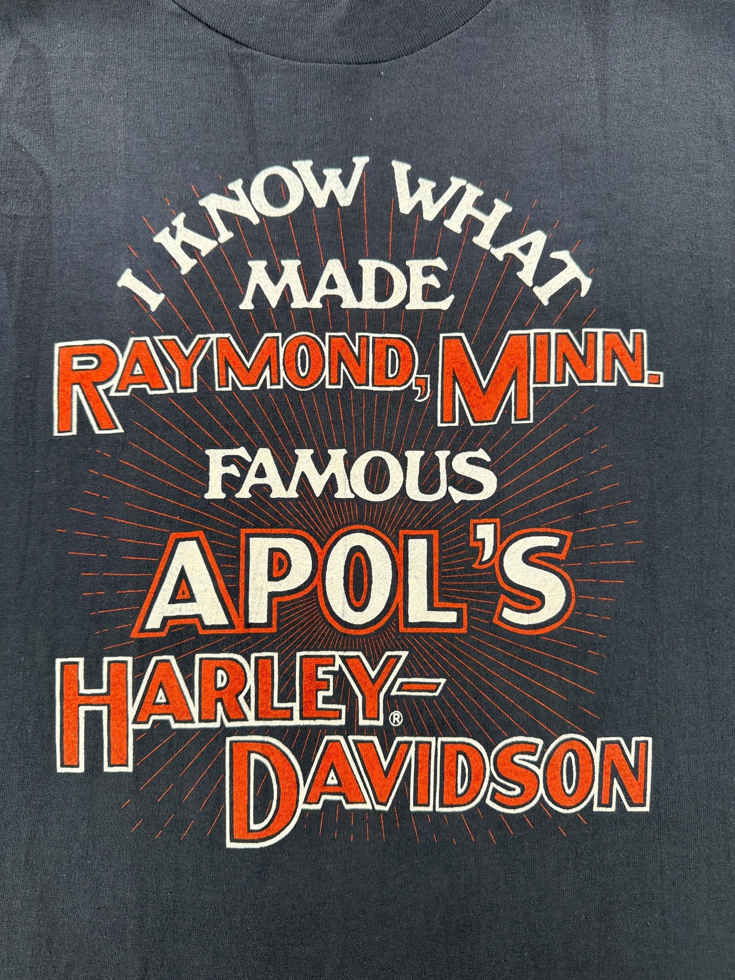 Graphic of Vintage Apol's Harley Davidson Raymond MN Tee SZ M (Fits S)