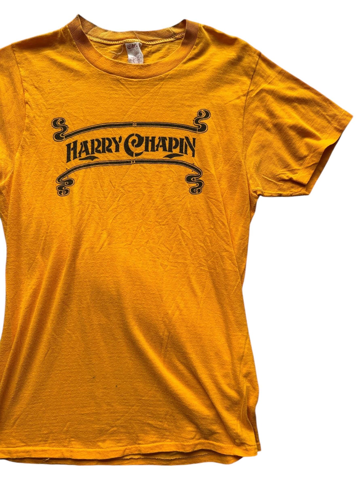 Front Left View of Vintage Harry Chapin Every Year Is World Hunger Year Tee M