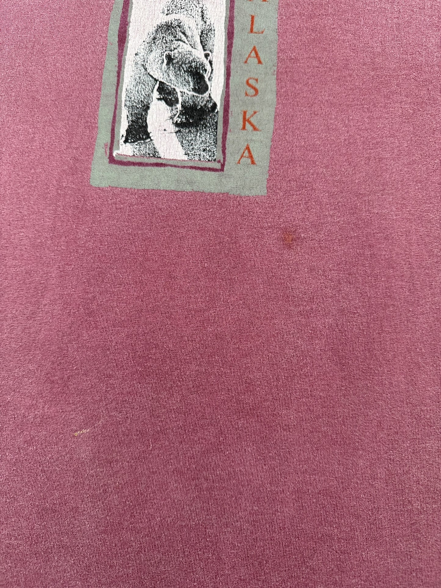 Stain on Vintage Alaska Tee SZ XL (Fits XXL)