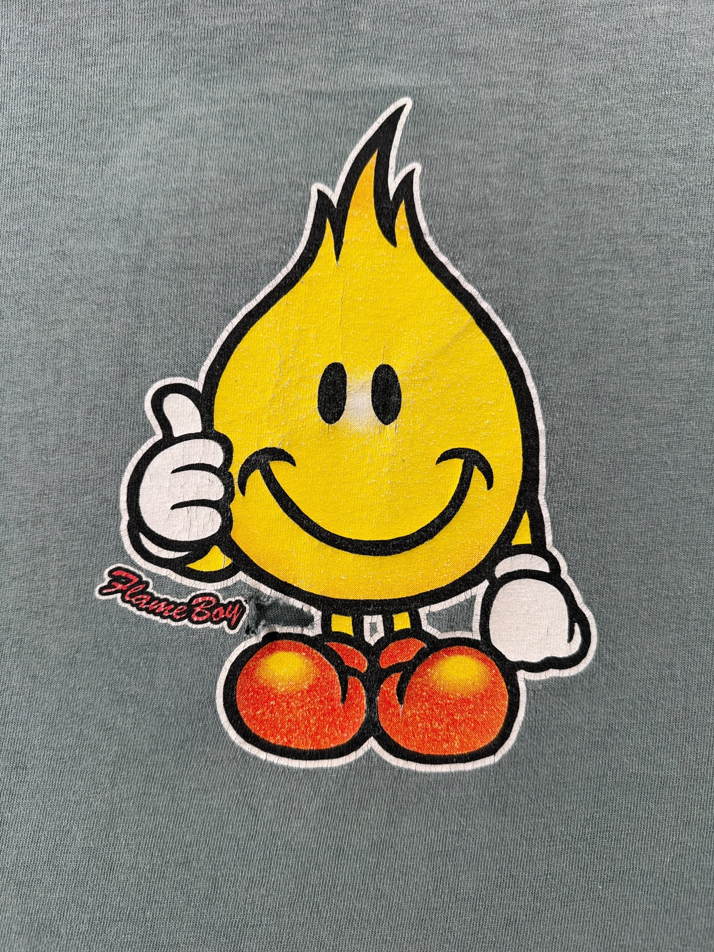 Graphic on Vintage World Industries Flame Boy Tee SZ L