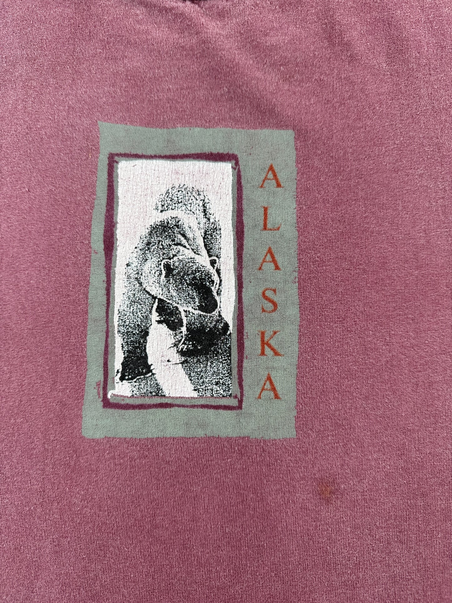 Tag on Vintage Alaska Tee SZ XL (Fits XXL)