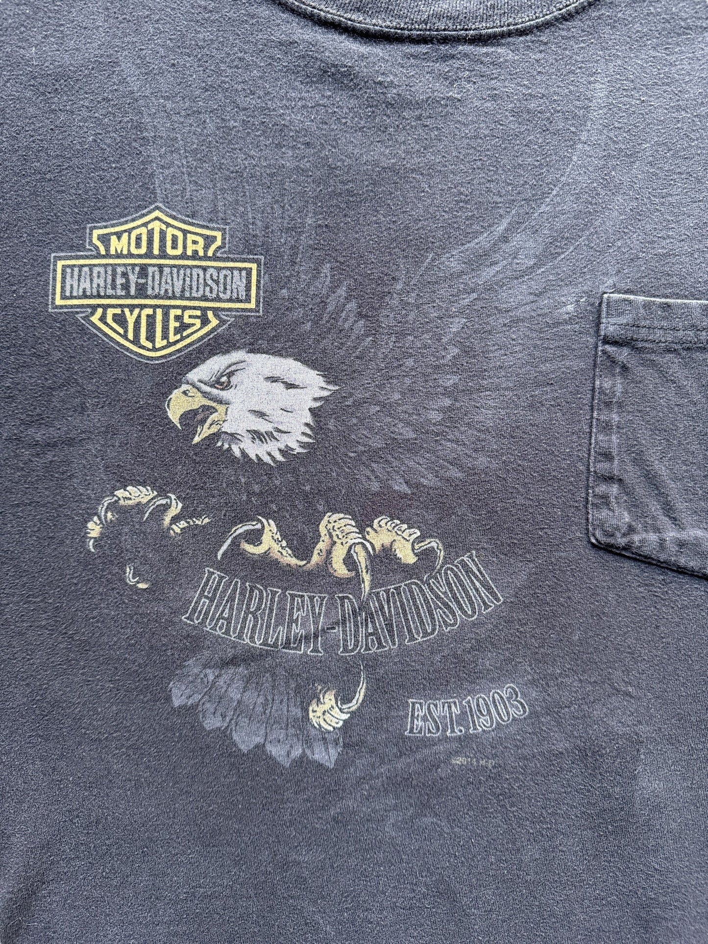 Front Graphic of Snake Harley Davidson Twin Falls Pocket Tee SZ L