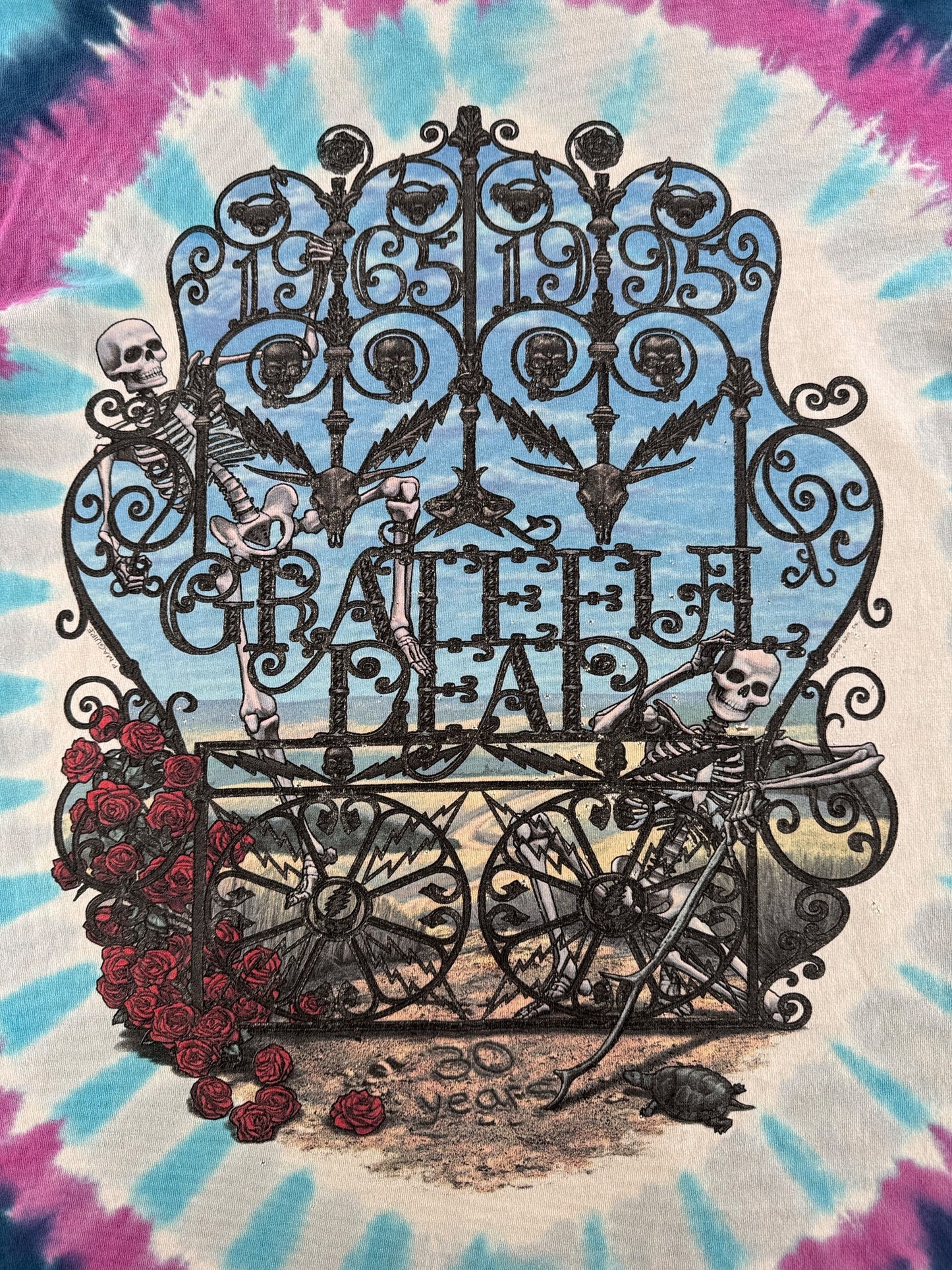 Back graphic of Vintage Liquid Blue Grateful Dead 30 Years Bertha Tee SZ L
