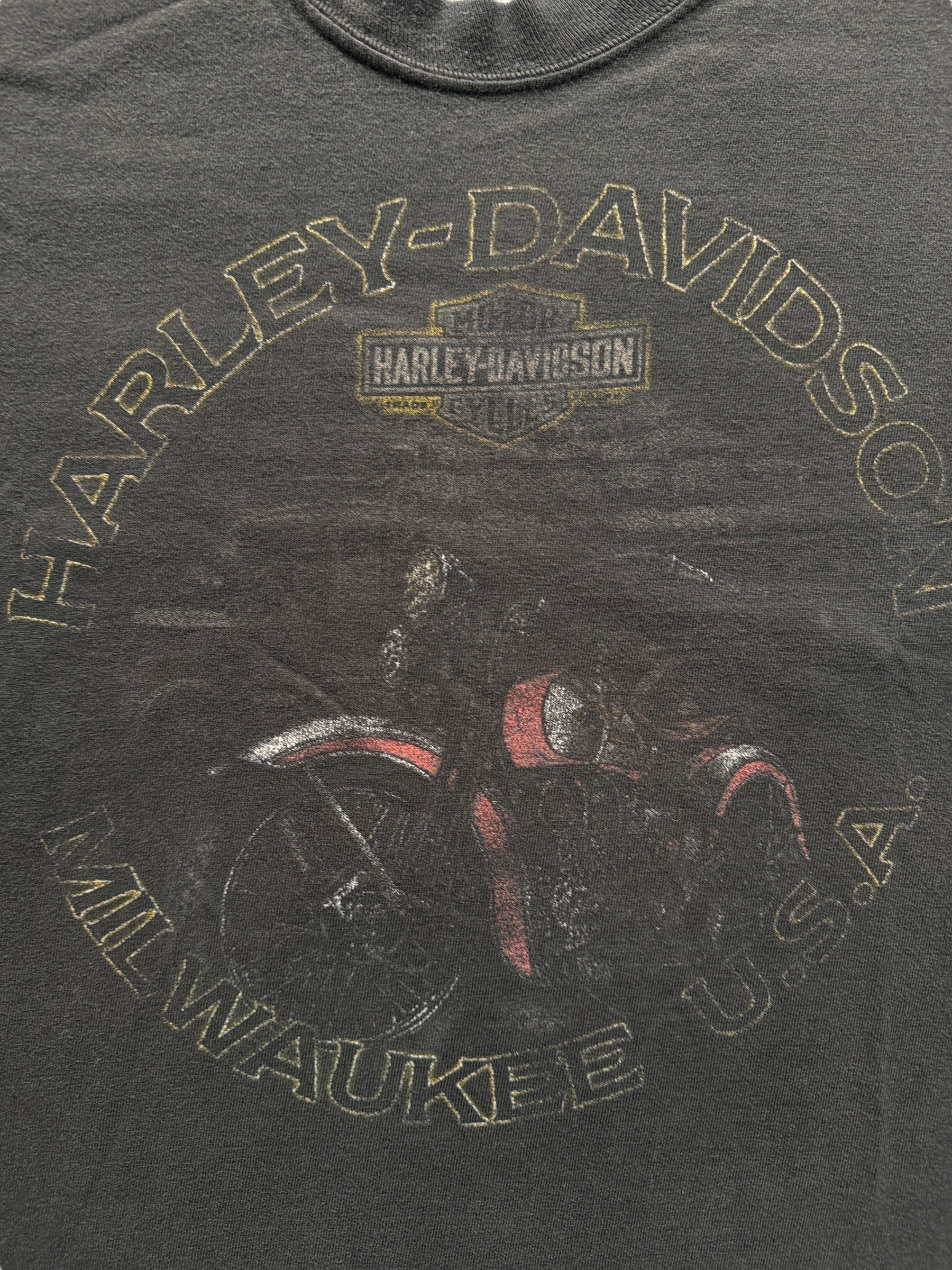 Front Graphic of Faded Susquehana Valley Harley Davidson Tee SZ L