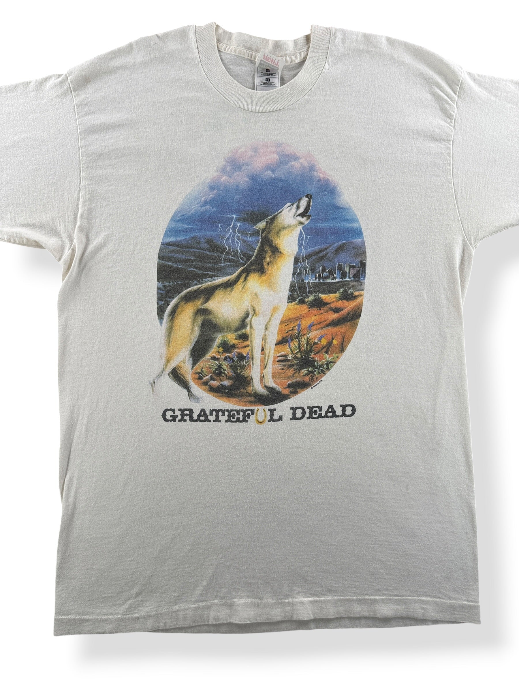 Front Close Up of Vintage 1995 Richard Biffle Grateful Dead Las Vegas Tour Tee SZ XL