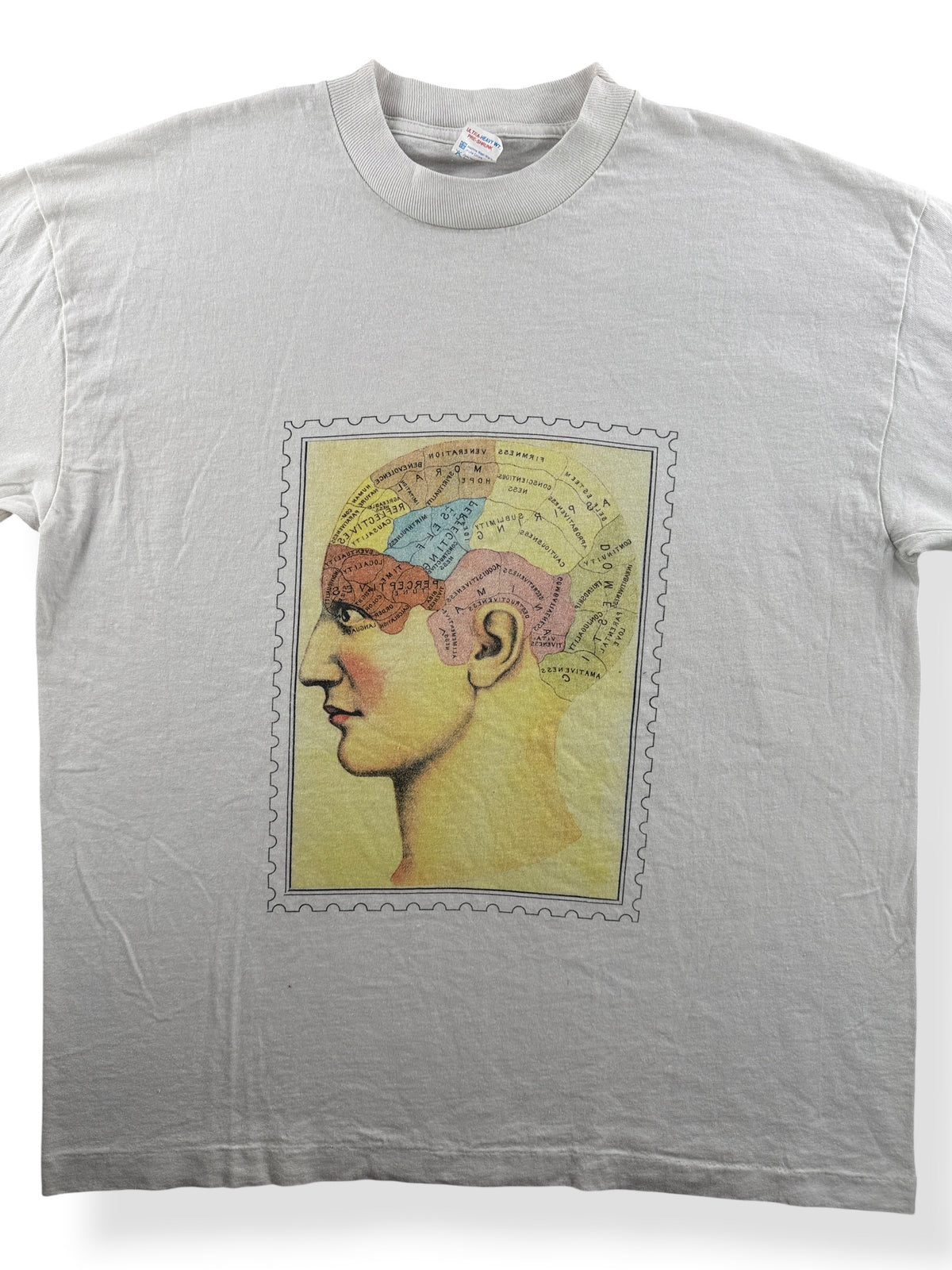 Close-up of Vintage Anatomical Brain Study Tee SZ L