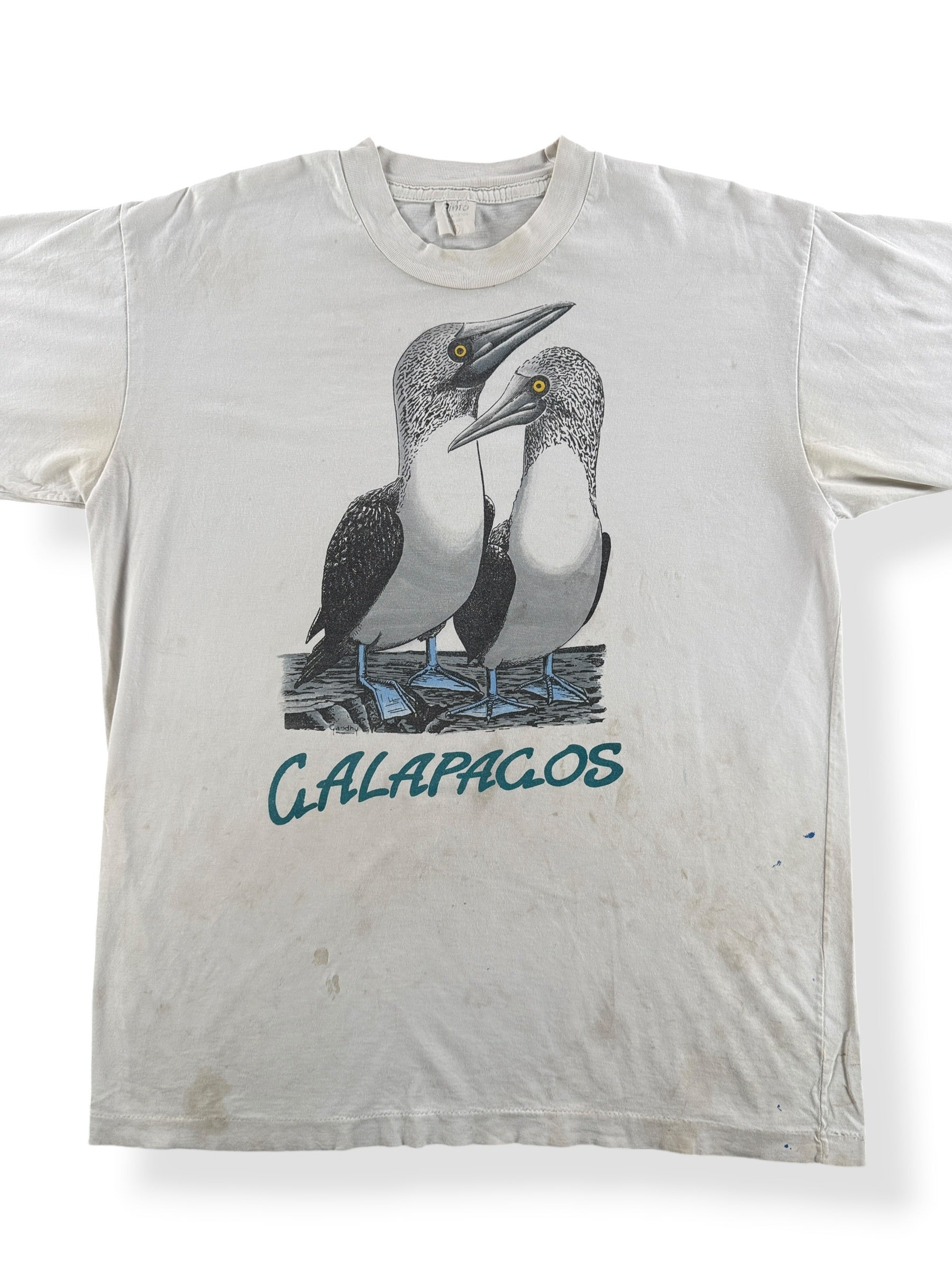Front Close Up of Vintage Galapagos Bird Tee SZ L