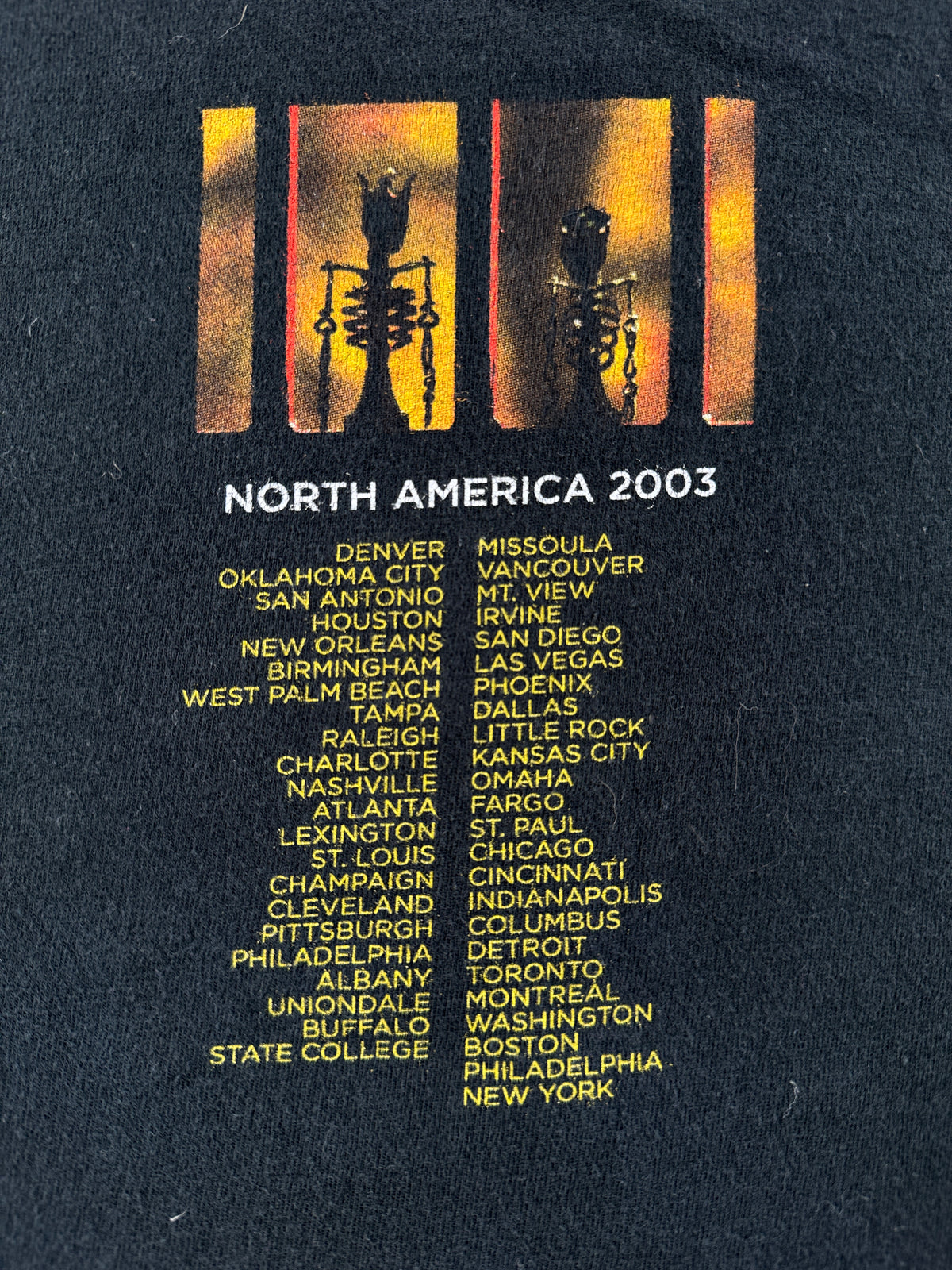 Back graphic on Vintage 2003 Pearl Jam Riot Act Tee SZ XL