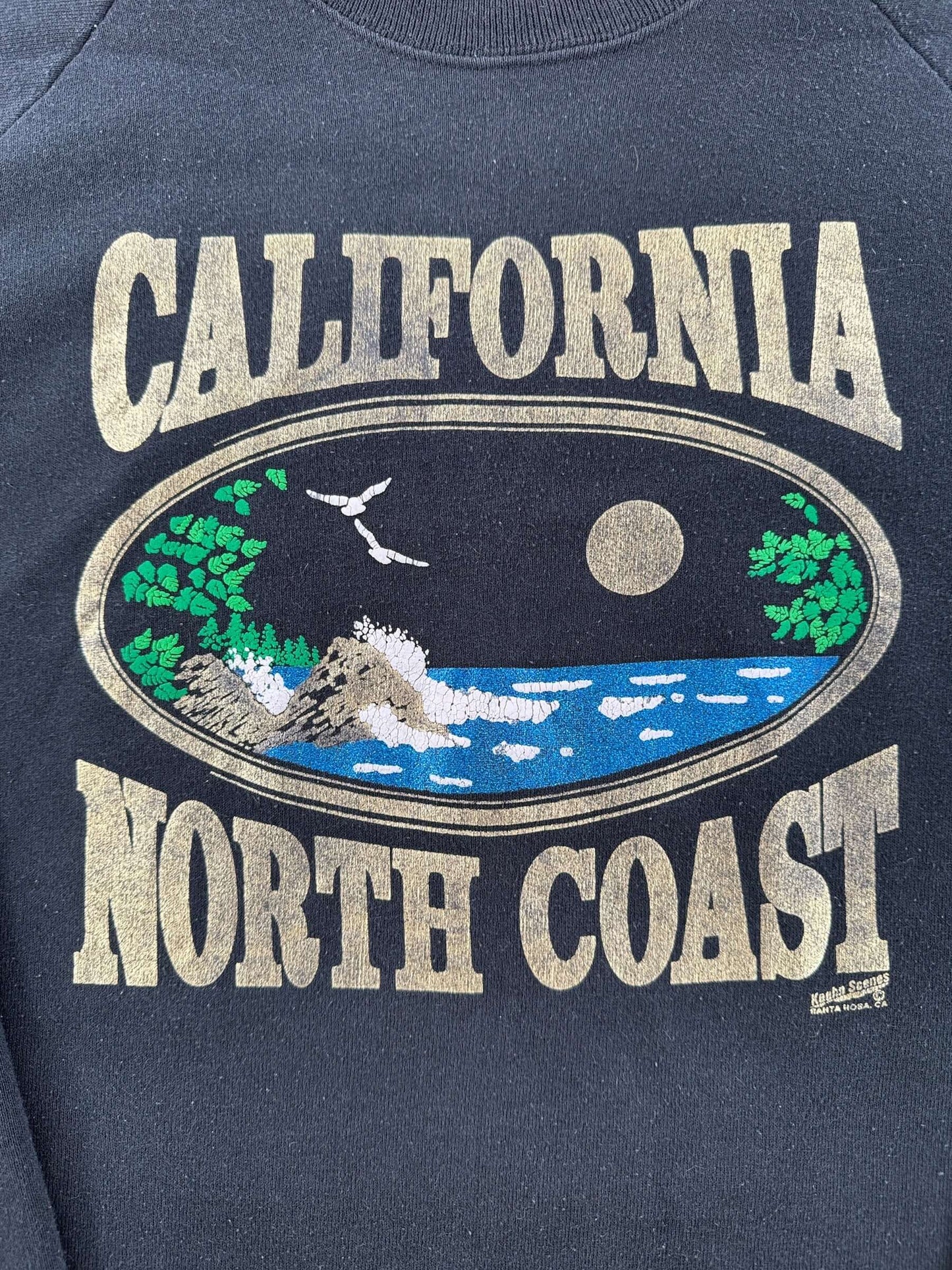 Front graphic on Vintage California Coast Crewneck SZ XL