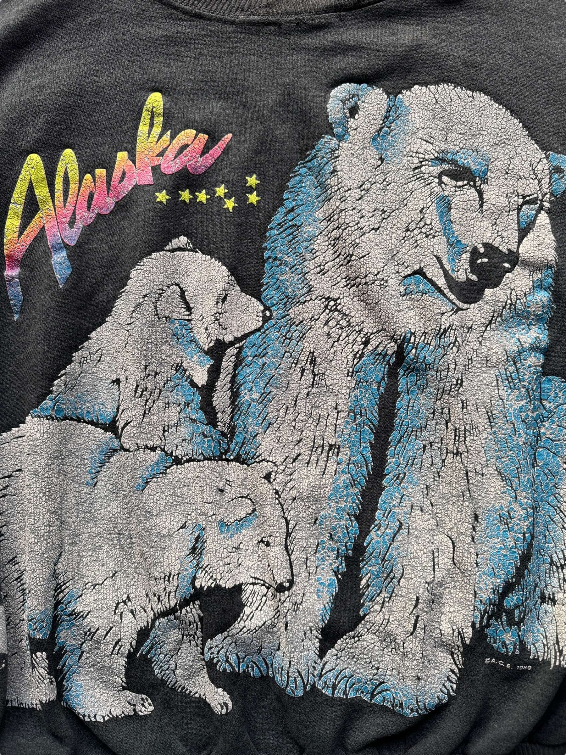 front graphic of Vintage Alaska Polarbear Crewneck SZ XL