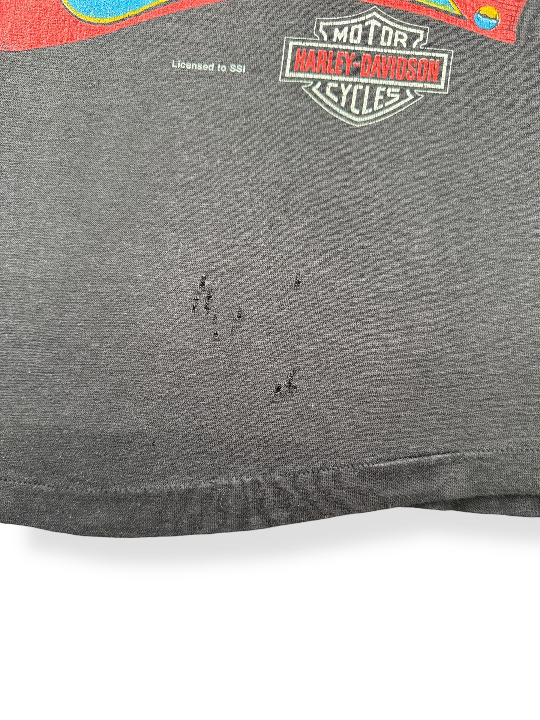 Holes on Vintage Born in the USA Harley Tee SZ L (Fits S)