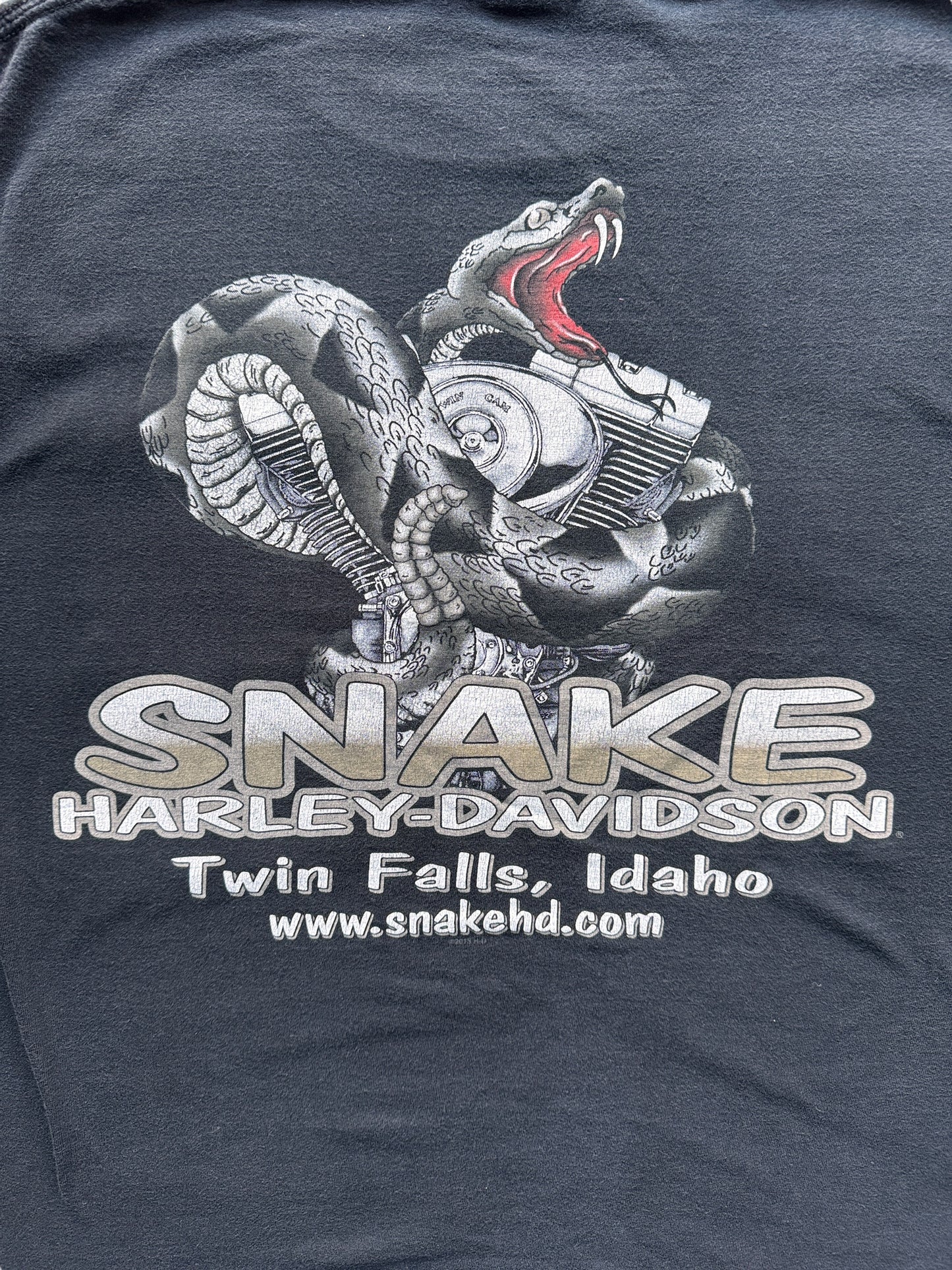 Back Graphic of Snake Harley Davidson Twin Falls Pocket Tee SZ L