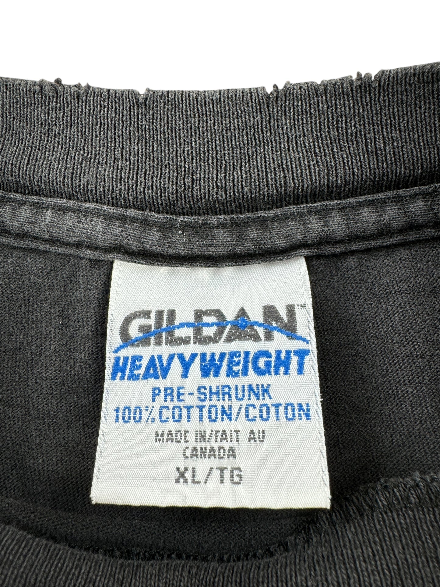 Tag on Vintage Faded Bear Nature Tee SZ XL