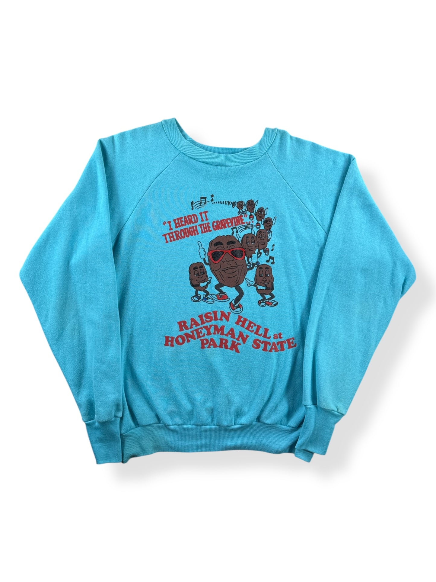 Front of Vintage Raisin Hell Crewneck SZ L (Fits M)