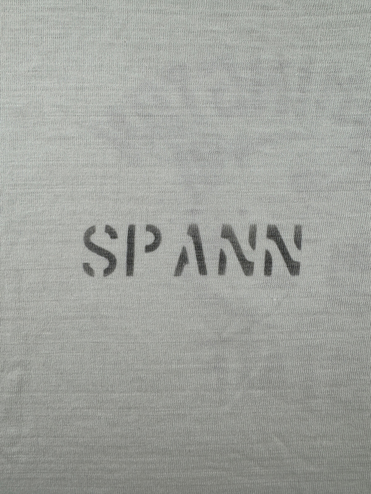 Spann stencil on back of Vintage 50s/60s Russell Southern WSU Tee SZ M