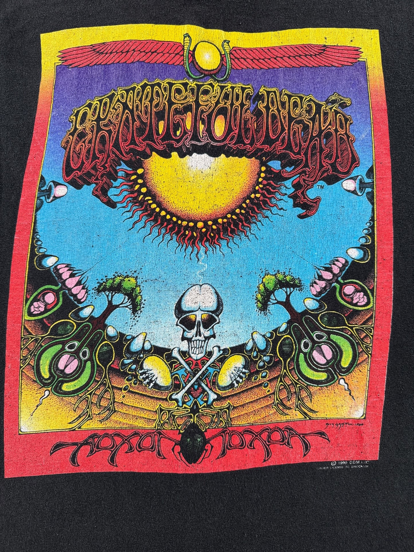 Graphic of Vintage 1990 Grateful Dead Aoxomoxoa Tee SZ S